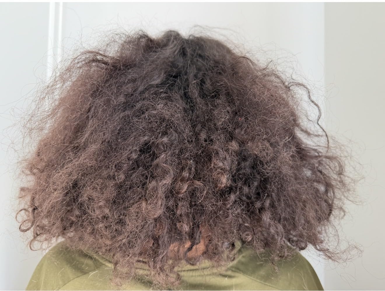 ELLA BELLA® Titanium Flat Iron Hair Straightener (with Infrared) • Professional Straightening Iron • Digital Display to Accurately Control Temperature • As Featured in Good Housekeeping customer photo 1