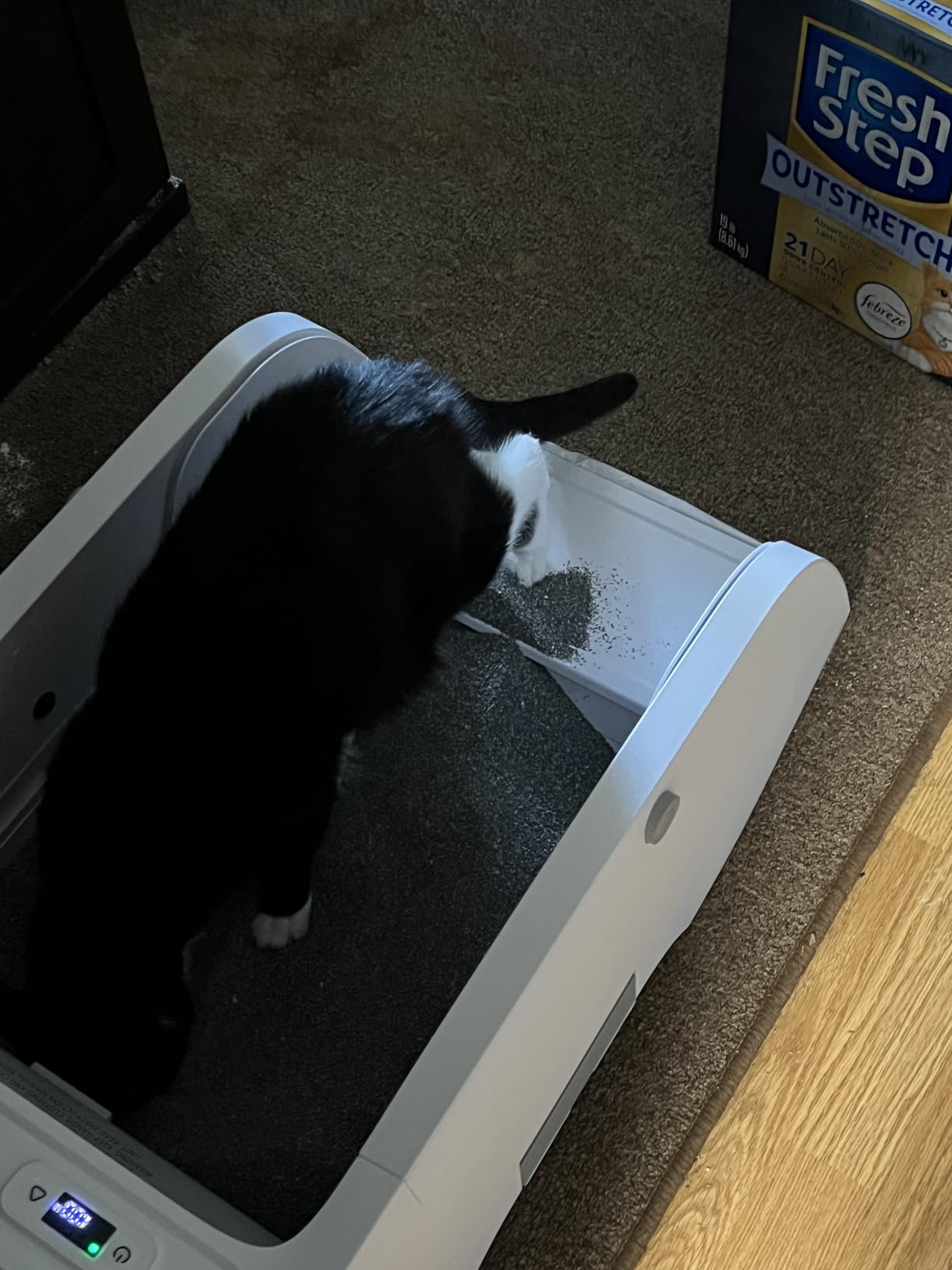 Petcove - Automatic Self Cleaning Litter Box - PurrTek Smart Automatic Litter Box for Multi-Cat Homes with Smart App Control (5GHz Wi-Fi), Triple Odor Control Quiet Operation & Advanced Safety Sensors customer photo 1