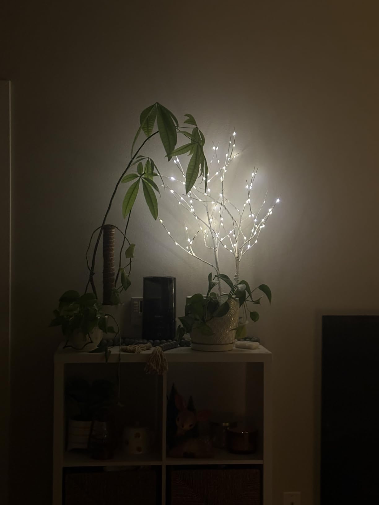 Automatic Humidifiers for Bedroom Large Room, 4.5L Cool Mist Humidifier for Home & Plant with Timer & Humidity Sensor, Last Up to 18H on High Setting, Auto Shut-Off, 360° Nozzle (Black) customer photo 1