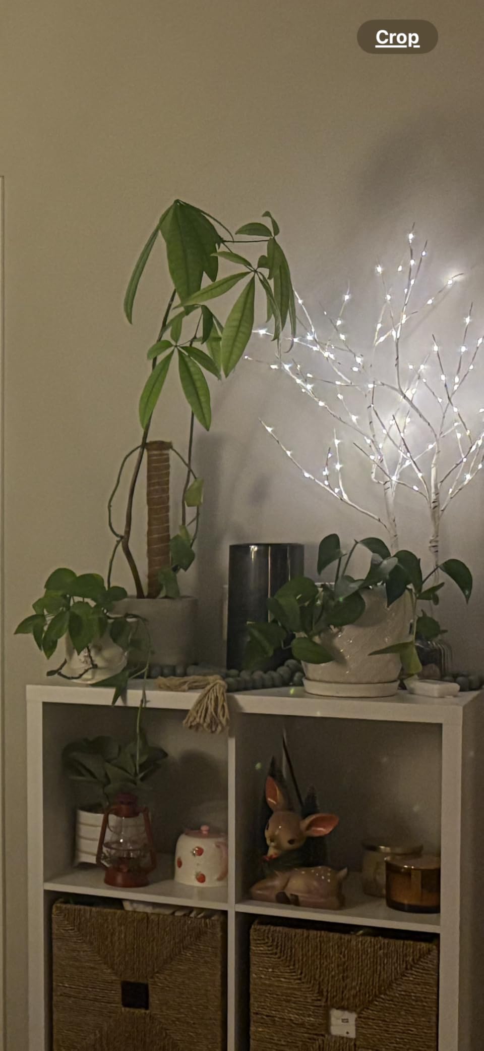 Automatic Humidifiers for Bedroom Large Room, 4.5L Cool Mist Humidifier for Home & Plant with Timer & Humidity Sensor, Last Up to 18H on High Setting, Auto Shut-Off, 360° Nozzle (Black) customer photo 2