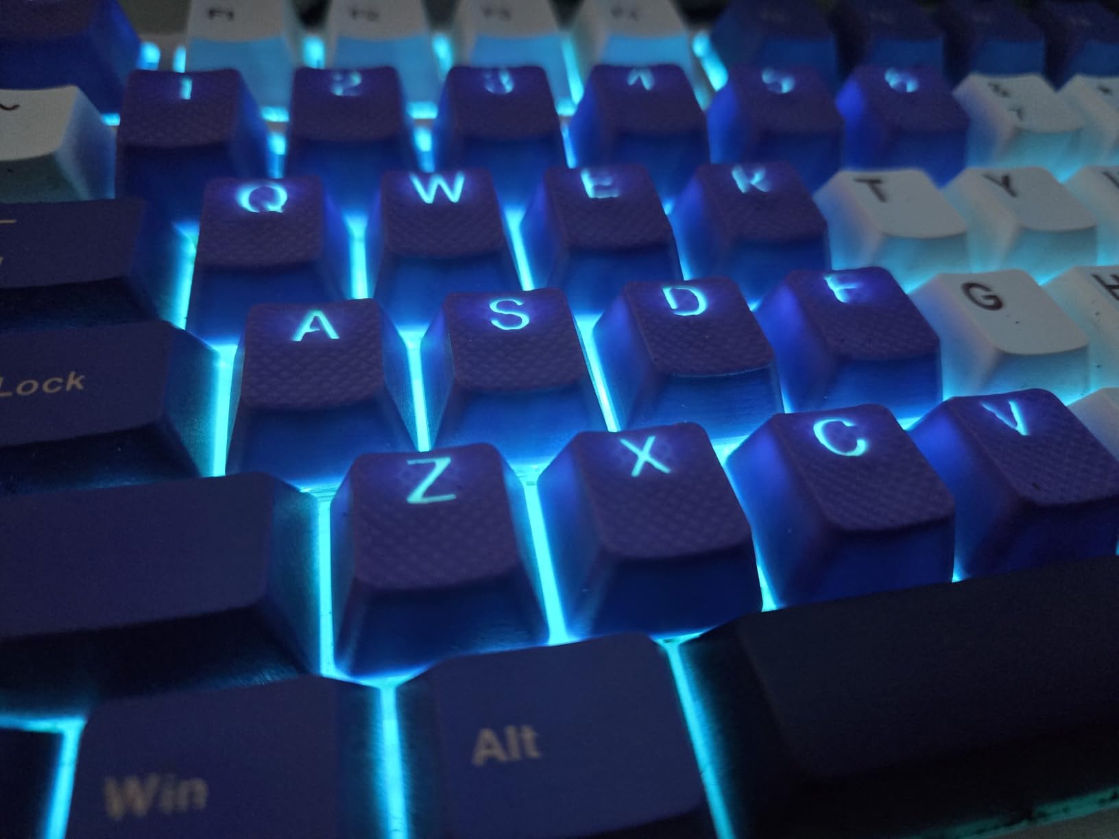 GATERON Baby Kangaroo 2.0 Switches for MX Mechanical Keyboard, 5-Pin 59gf Heavy Tactile RGB 22mm Dual-Stage Spring Factory Pre-lubed Switches(72Pcs) customer photo 1