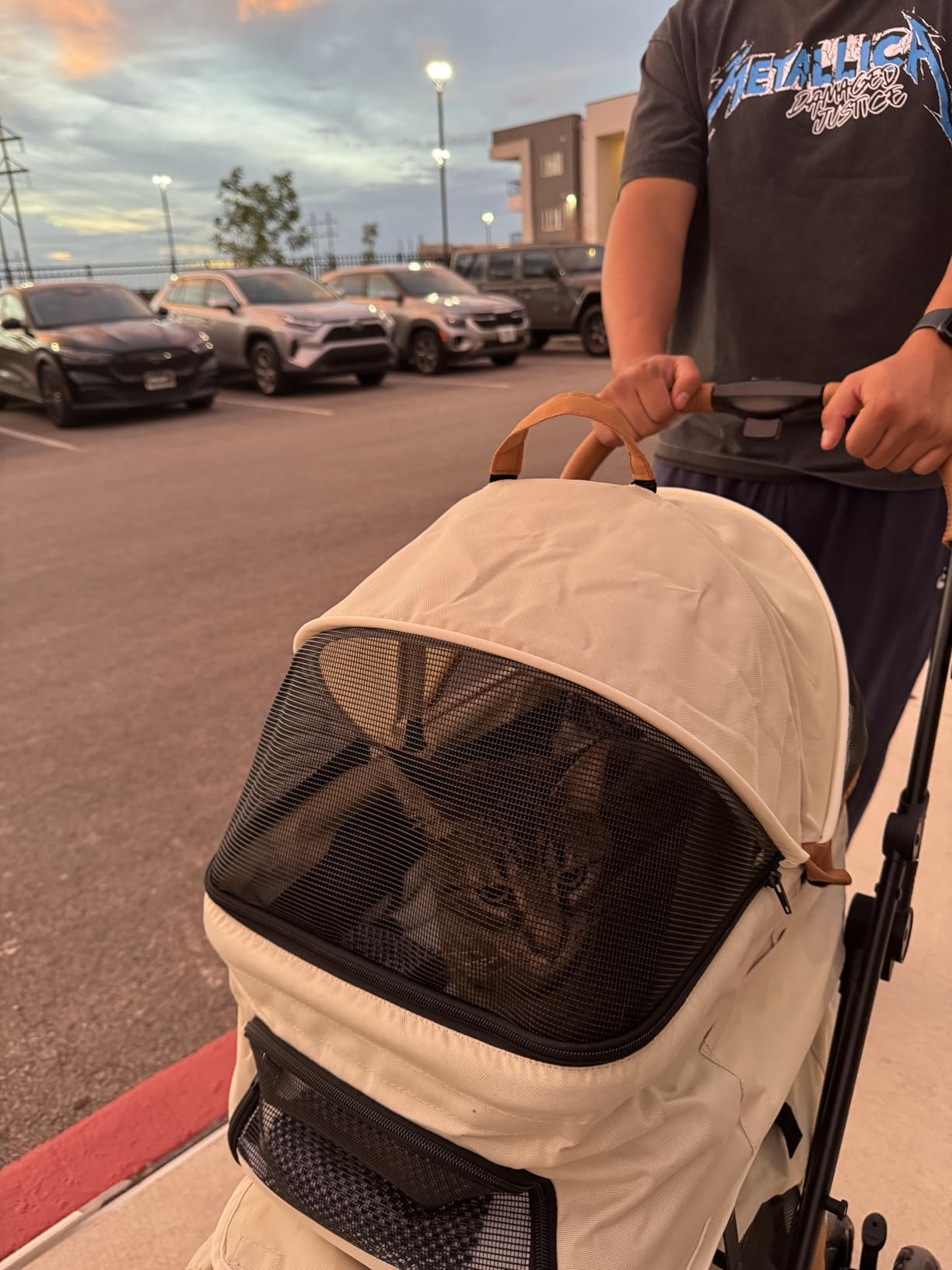 Double Pet Stroller with Detachable Carriers - Ideal for 2 Dogs or Cats - Compact & Convenient Design - Easy Assembly Double Dog Stroller - Cosmic Beige customer photo 2