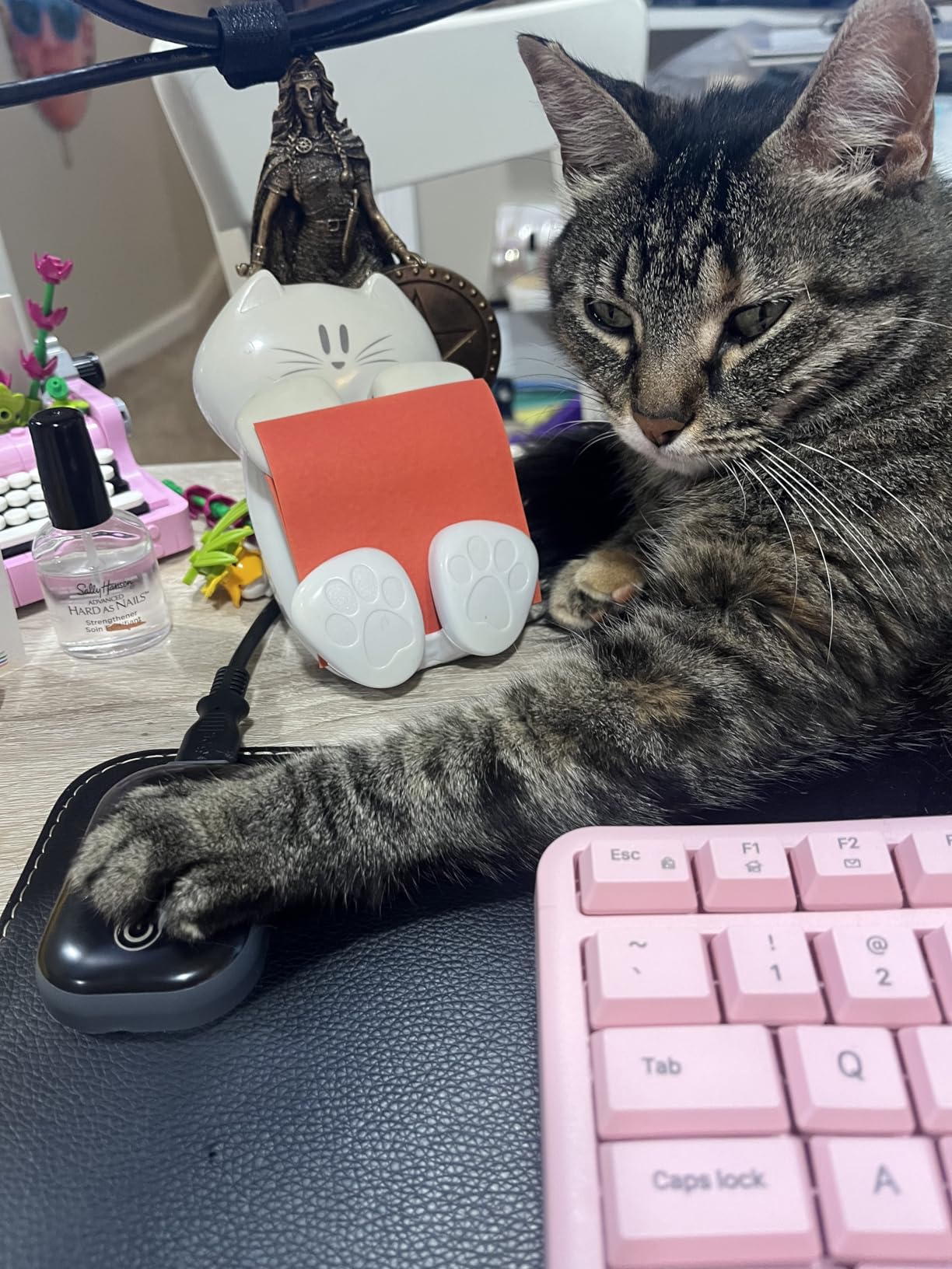 Heated Mouse Pad, Warm Desk Pad,Heated Large Desk Mat with 3 Levels Heating,Gaming Mouse Pad Foot Warmer Pad for Home Office customer photo 2