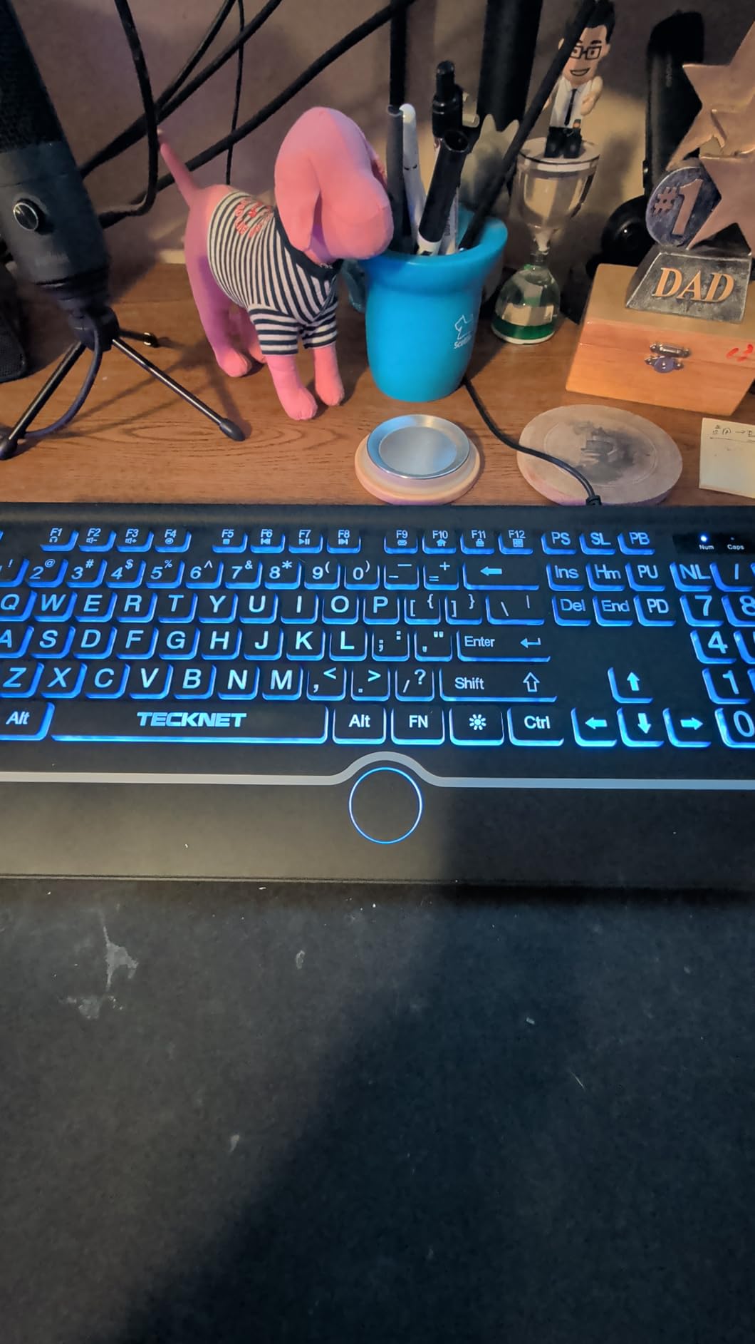TECKNET Large Print Backlit Keyboard, Wired USB-A Computer Keyboard with Wrist Rest, 7-Color Backlit, Oversized Letter Keys Easy to See, Plug-and-Play, Silent, Light Up Keyboard for Windows/PC/Laptop customer photo 1