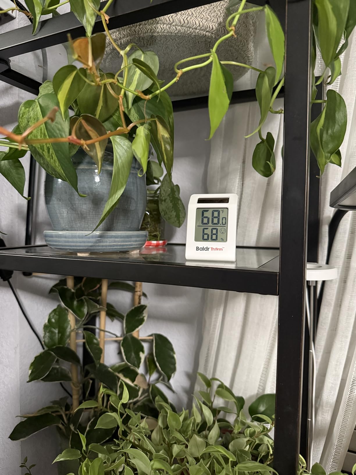 BaldrTherm 2.2'' Digital Thermometer and Hygrometer Meter, Solar-Powered Indoor Temperature Sensor Humidity Monitor, Humidity Gauge for Baby Rooms, Bedrooms, Home, Office, and Wine Cellars, 1Pack customer photo 1