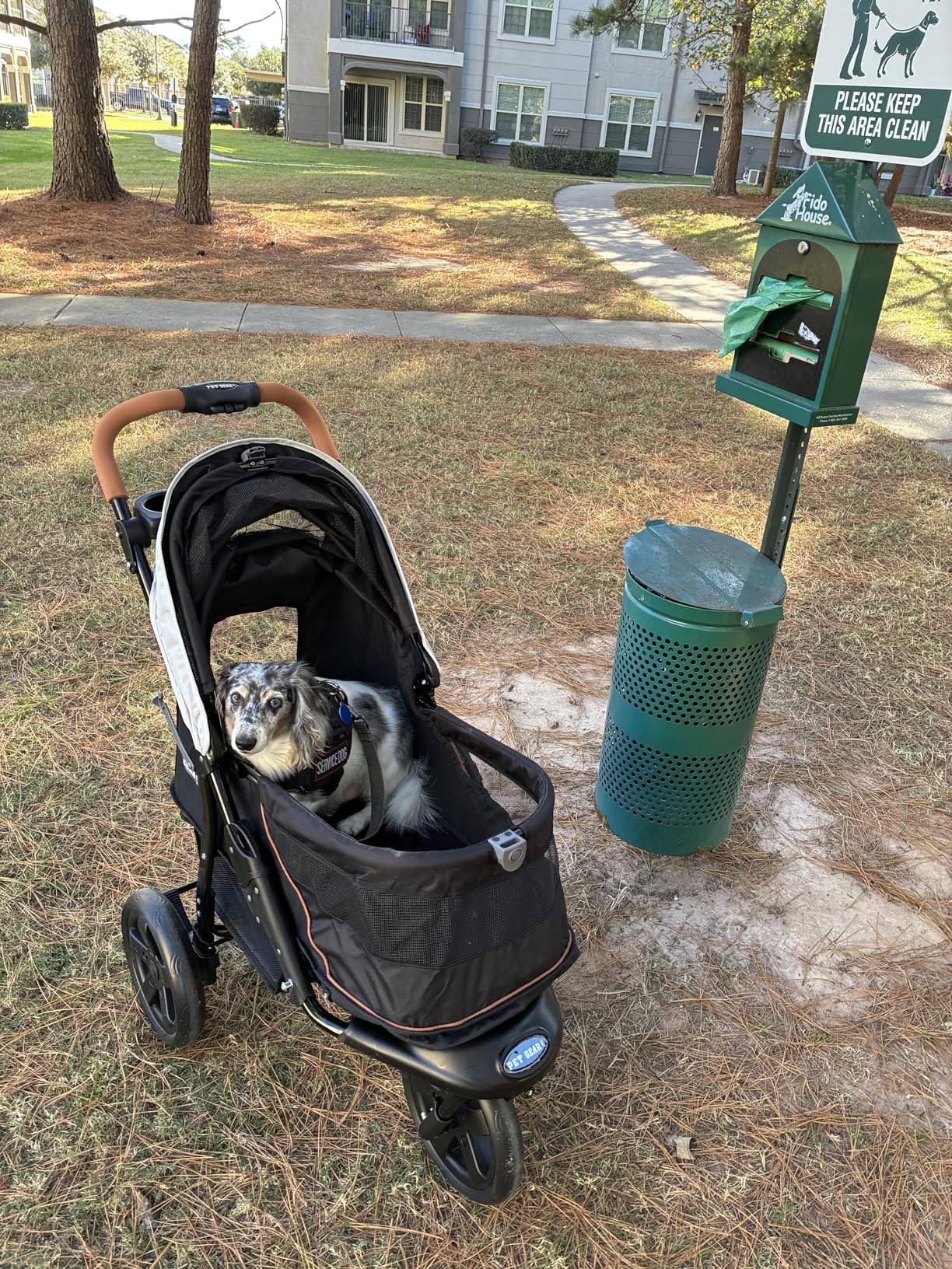 Pet Gear No-Zip AT3 Pet Stroller for Cats/Dogs, Zipperless Entry, Easy One-Hand Fold, Jogging Tires, Removable Liner, Cup Holder + Storage Basket, Platinum customer photo 1