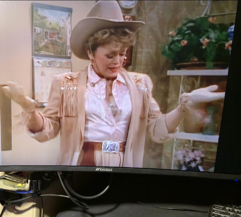 SANSUI Gaming Monitor 24.5 inch 300hz 240hz FHD 1080P 1ms FPS PC Monitor Gaming HDR FreeSync DisplayPort x2 HDMI x2 Fast IPS 120% sRGB customer photo 2