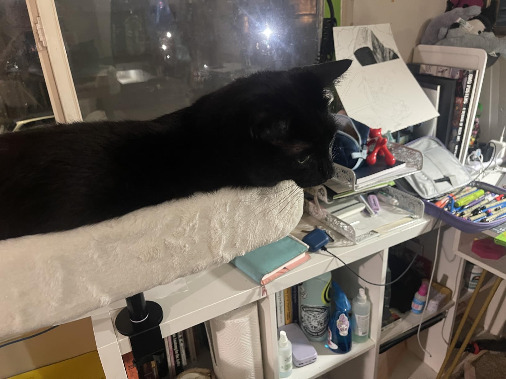 PAWZ Road Cat Desk Bed for Indoor Cats, Cat Bed for Desk Supports Up to 50 lbs, 360° Rotation & Adjustable, Nest Desktop Attachment Cats Hammock for Table customer photo 2