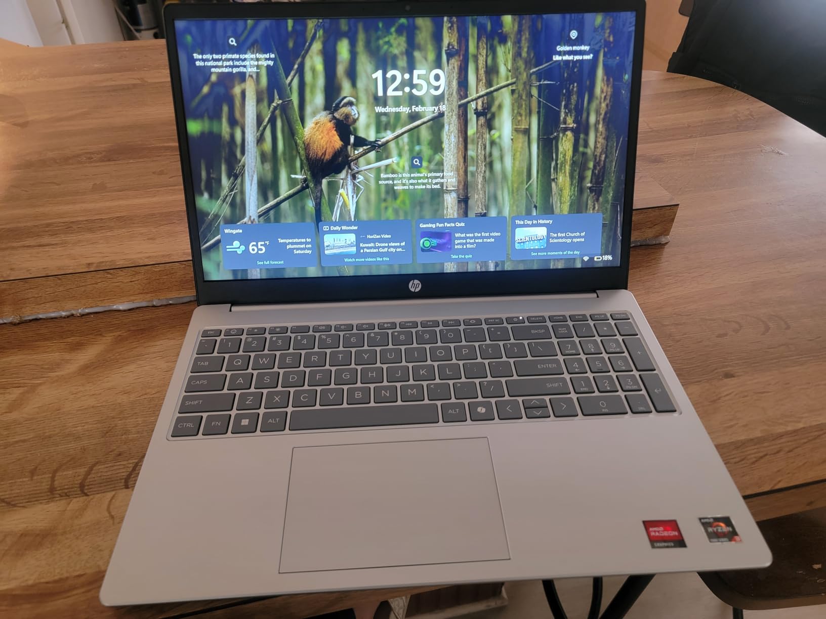 HP 15.6 inch Laptop, HD Touchscreen Display, AMD Ryzen 3 7320U, 8 GB RAM, 128 GB SSD, AMD Radeon Graphics, Windows 11 Home in S Mode, Natural Silver, 15-fc0099nr customer photo 1