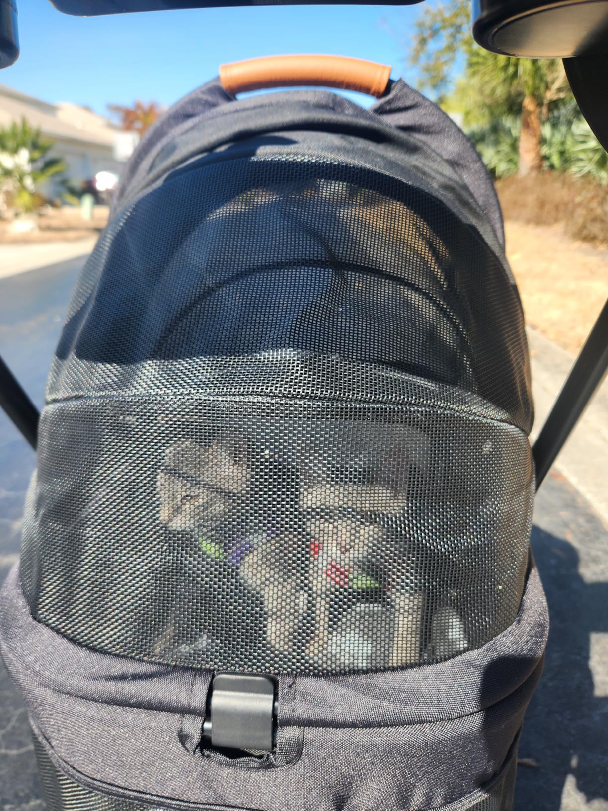 3 in 1 Pet Stroller with Removable Carrier, Folding Stroller for Small/Medium Dogs and Cats, Waterproof, All-Terrain, with Sun Shades, Car Seat customer photo 2