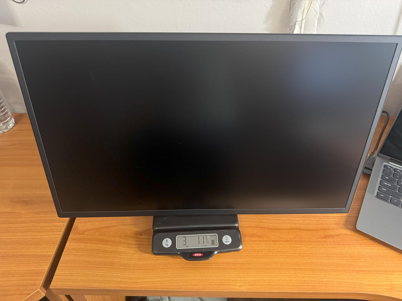 Portable Monitor 24.5