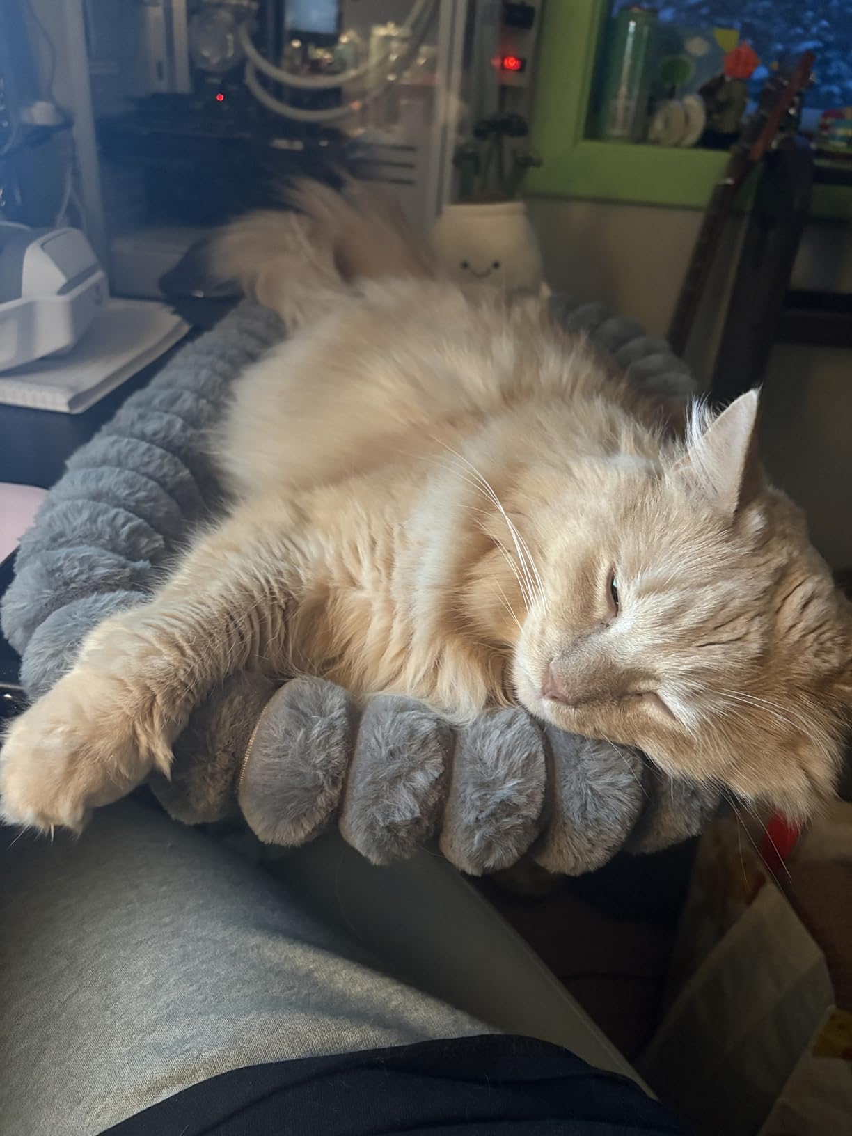 Pawow X-Large Cat Desk Bed - 90° Foldable Space-Saving Cat Beds, 2 Washable Covers (Faux Rabbit Fur & Cool Mesh), Heavy-Duty Frame Supports 40lbs, Easy Install Pet Perch for Office & Game Tables customer photo 1