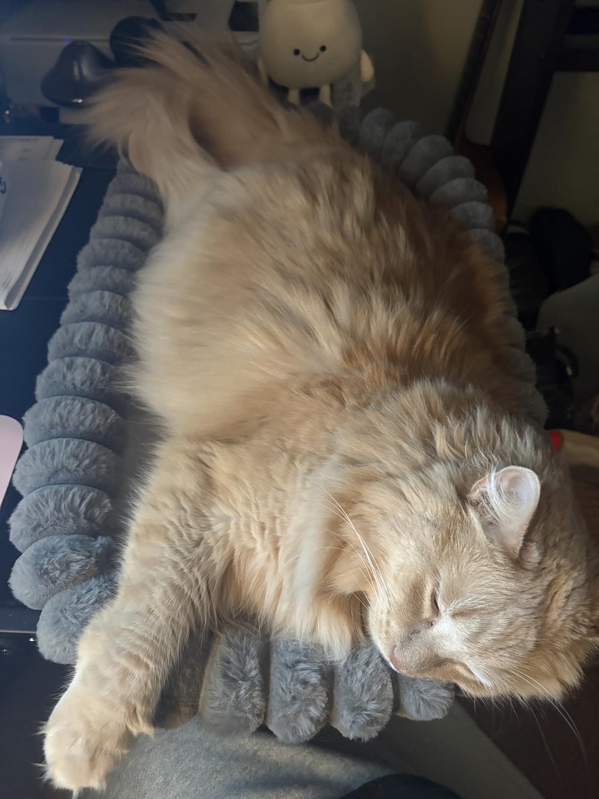 Pawow X-Large Cat Desk Bed - 90° Foldable Space-Saving Cat Beds, 2 Washable Covers (Faux Rabbit Fur & Cool Mesh), Heavy-Duty Frame Supports 40lbs, Easy Install Pet Perch for Office & Game Tables customer photo 2