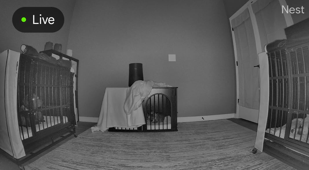 Google Nest Cam Indoor (Wired, 3rd Gen) - Security Camera with 2K Video and Gemini, Night Vision, 2-Way Audio, Works with Google Home - 2025 Model customer photo 1