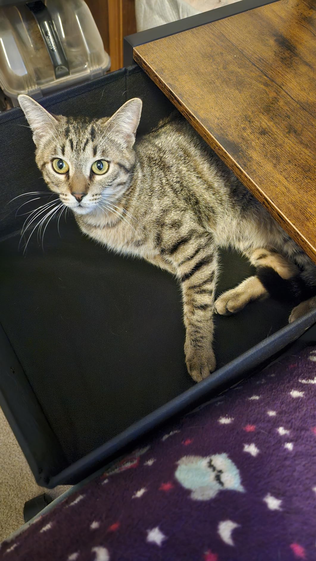 SEDETA L Shaped Gaming Desk with 6 Drawers, Reversible Computer Office Desk with File Drawer, Hutch, Storage Shelves, Gaming Corner Desk with Led Lights, Power Outlet for Two Person, Rustic Brown customer photo 1