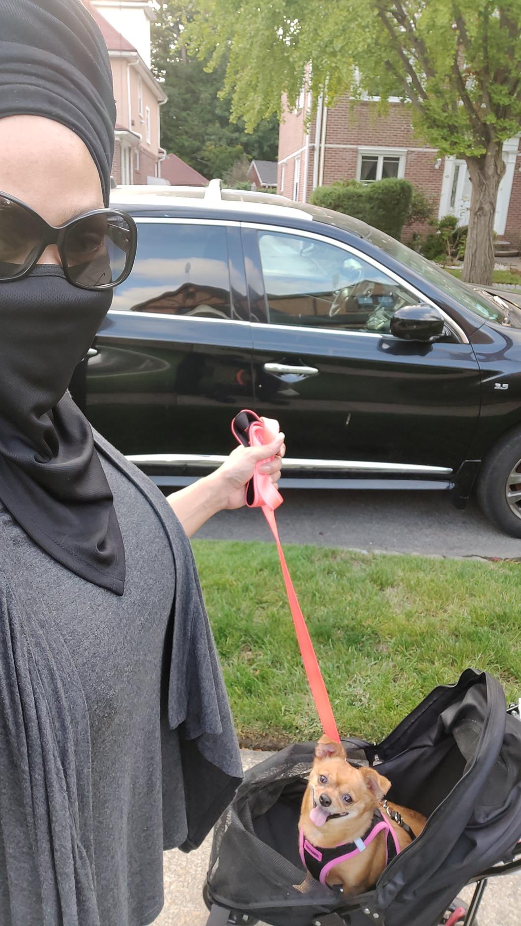 Pet Gear Travel Lite Plus Stroller, Compact, Easy Fold, No Assembly Required, Large Wheels for Cats and Dogs up to 15 pounds, Midnight Black customer photo 2