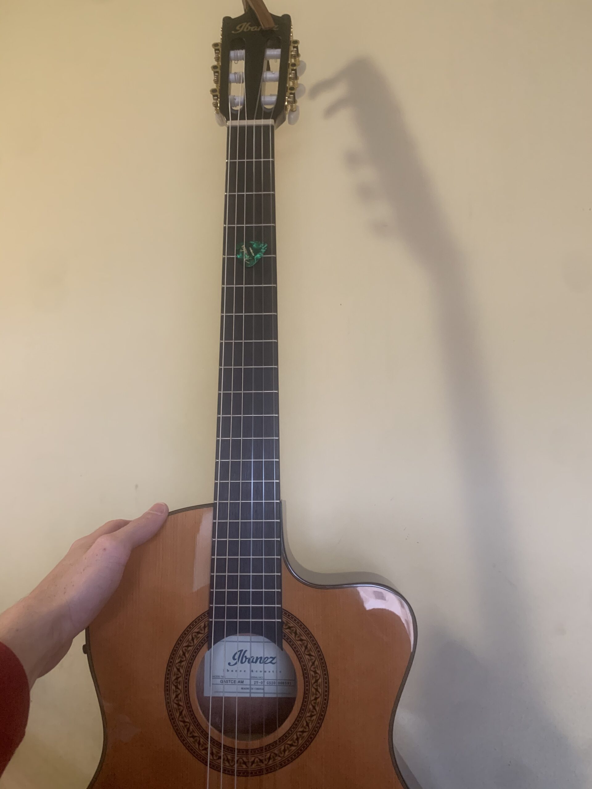 Ibanez 6-String Classical Guitar, Right, Natural customer photo 2