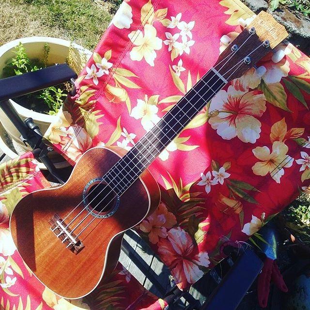 Cordoba 15CM Concert Ukulele - Hand Crafted With Mahogany Top, Back & Sides customer photo 1