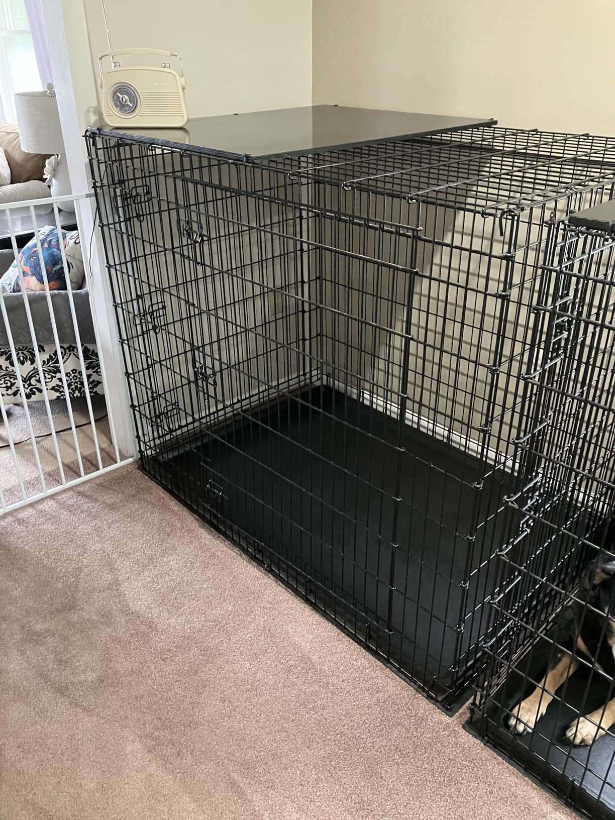 Solutions by MidWest Homes for Pets 54-Inch Drop Pin Crate for Giant Breeds Over 100 lbs, Double Door Dog Crate with Leak-Proof Tray & Secure Latches, Durable Drop Pin Construction customer photo 2