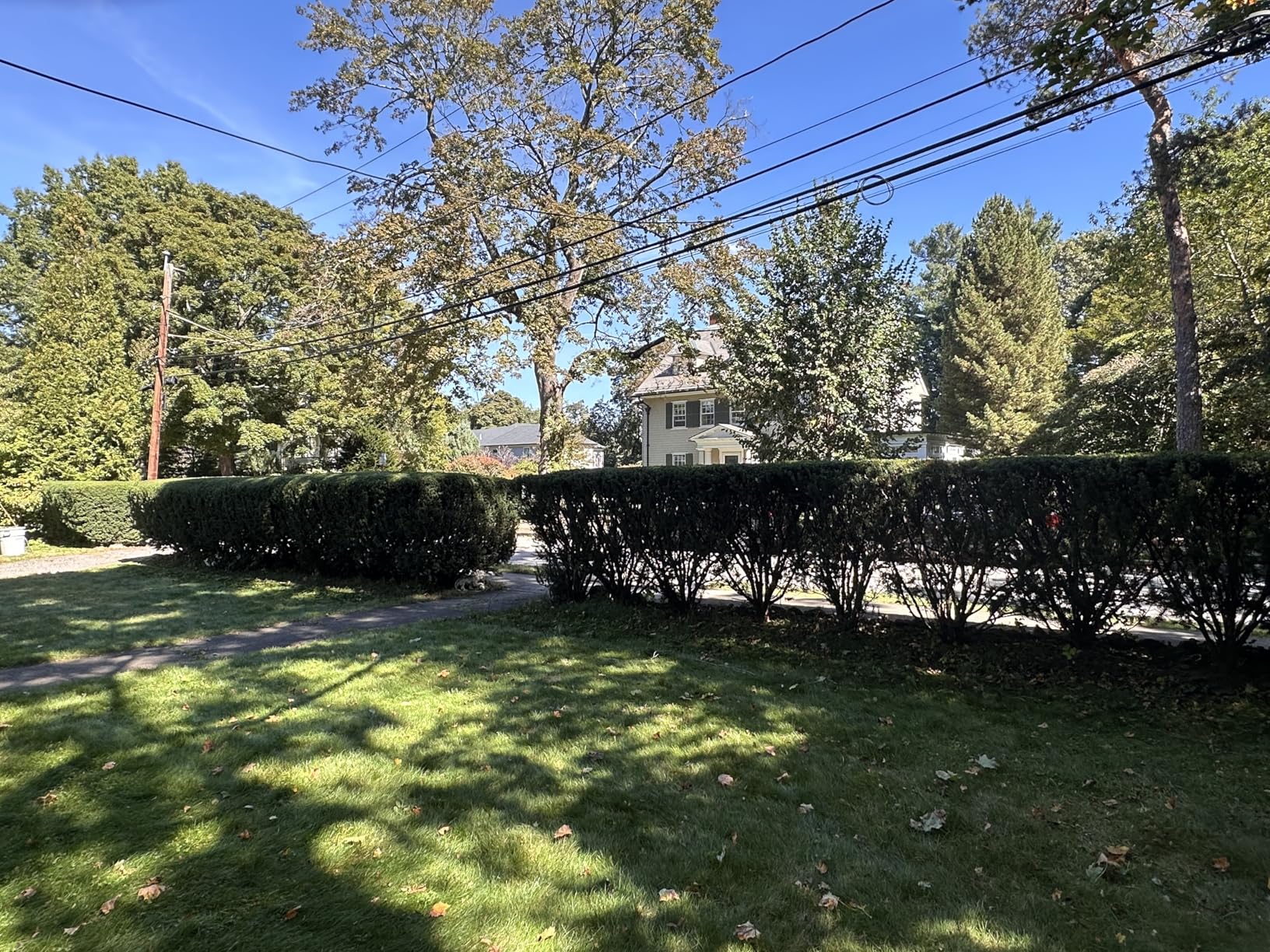 BLACK+DECKER 20V MAX Cordless Hedge Trimmer, Battery and Charger Included, 22 Inch Steel Blade (LHT2220) customer photo 2
