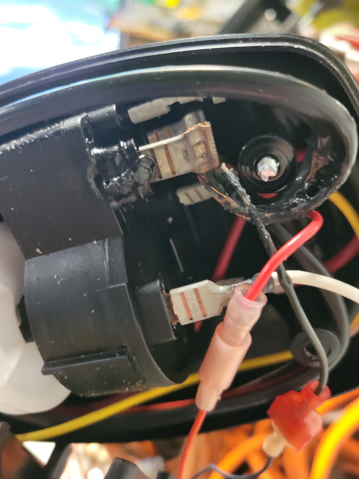 Minn Kota Endura C2 Transom-Mount Electric Trolling Motor - 30 Lb. Thrust, 30 in. Shaft, Freshwater customer photo 3