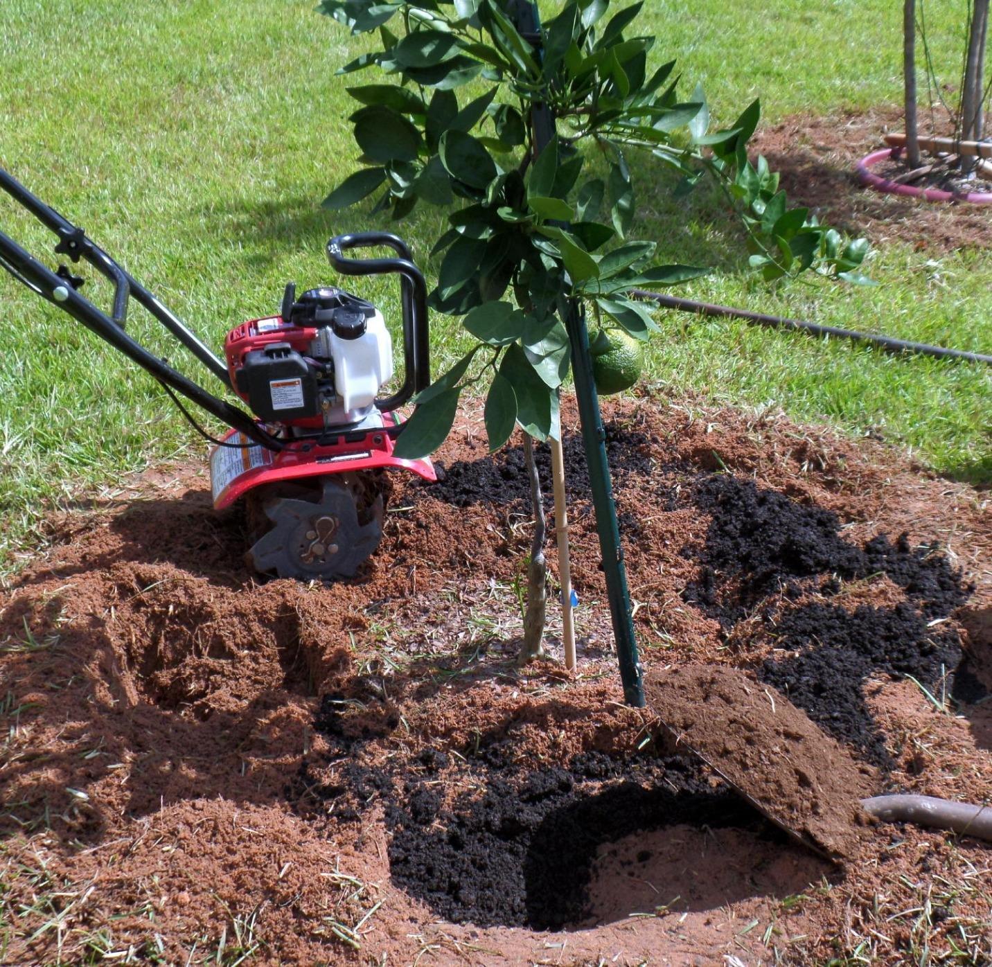 Honda FG110 Mini Tiller Cultivator, 6- to 9-Inch Tilling Width, Break New Ground or Prep Soil, Gas Engine, Adjustable Depth Bar customer photo 1