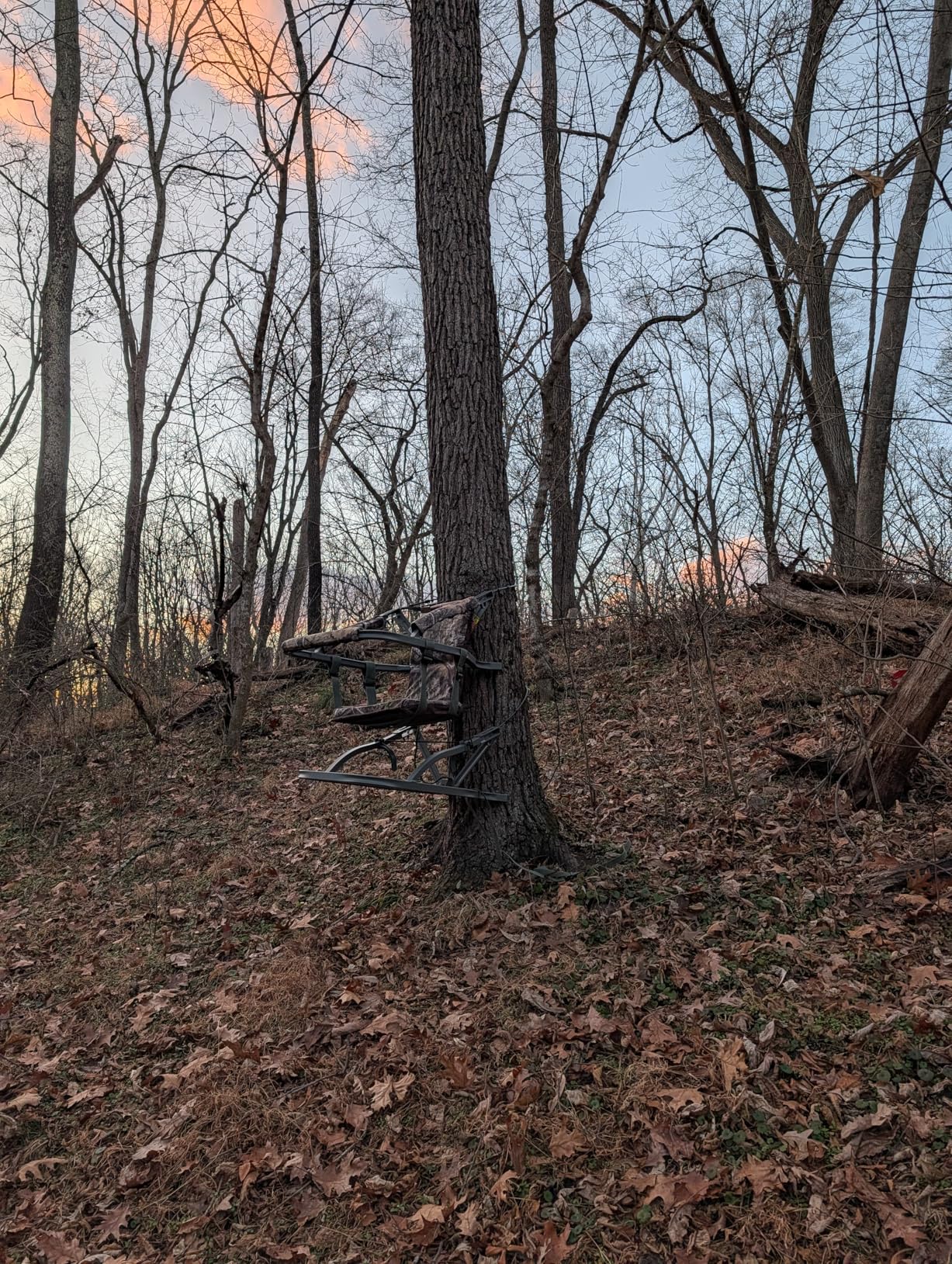 Summit Treestands Viper SD Climbing Treestand customer photo 1