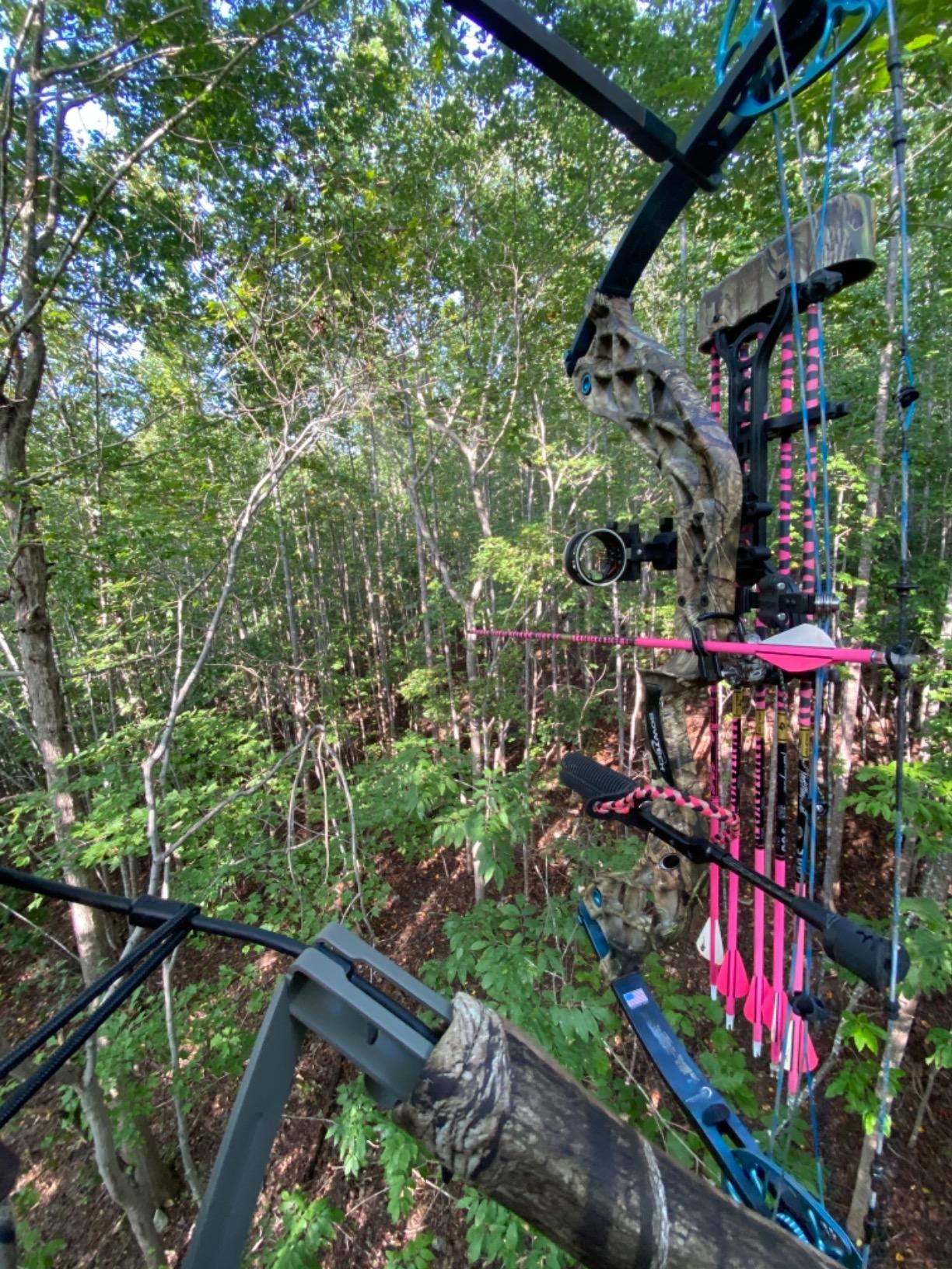 Summit Treestands Mini Viper SD Climbing Treestand customer photo 1