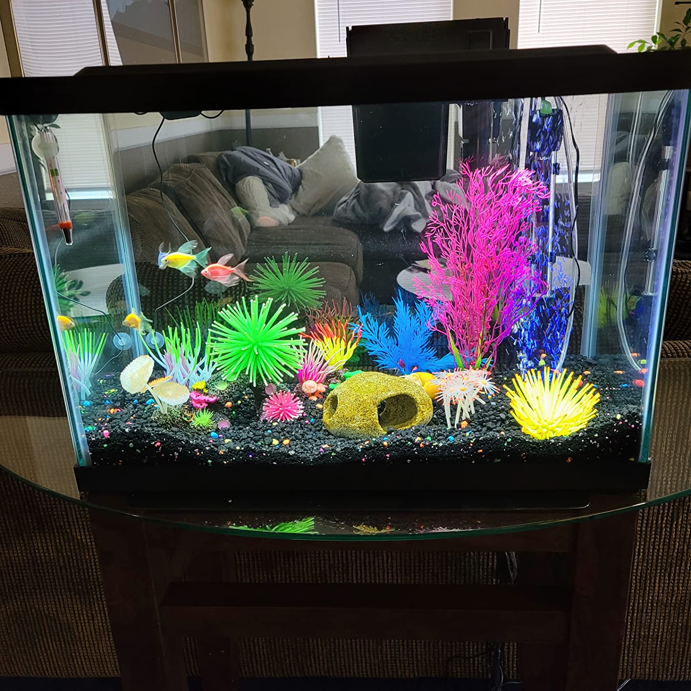 Tetra Aquarium, 20 Gallon, Complete Tropical Fish Tank Kit With LED Lighting And Decor For Freshwater Fish customer photo 2