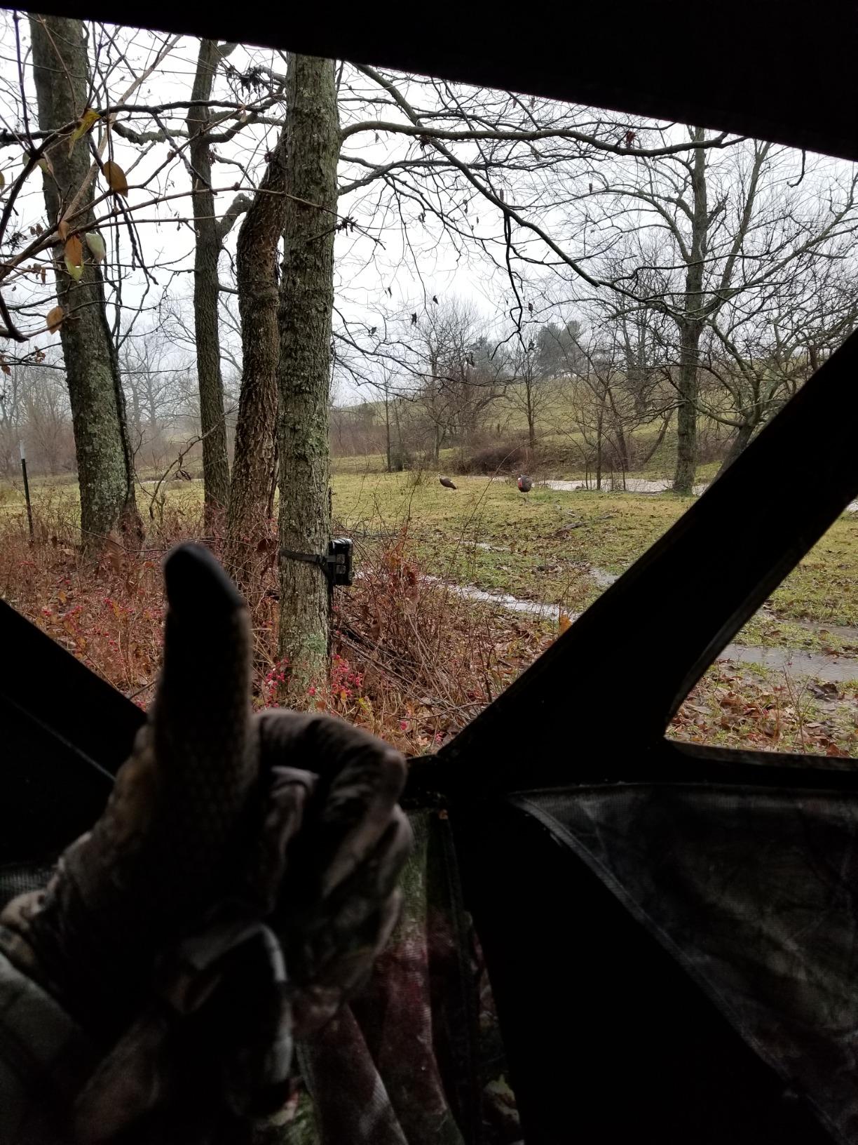Barronett Blinds RA200BW Radar Pop Up Portable Blind, Bloodtrail Backwoods Camo customer photo 2