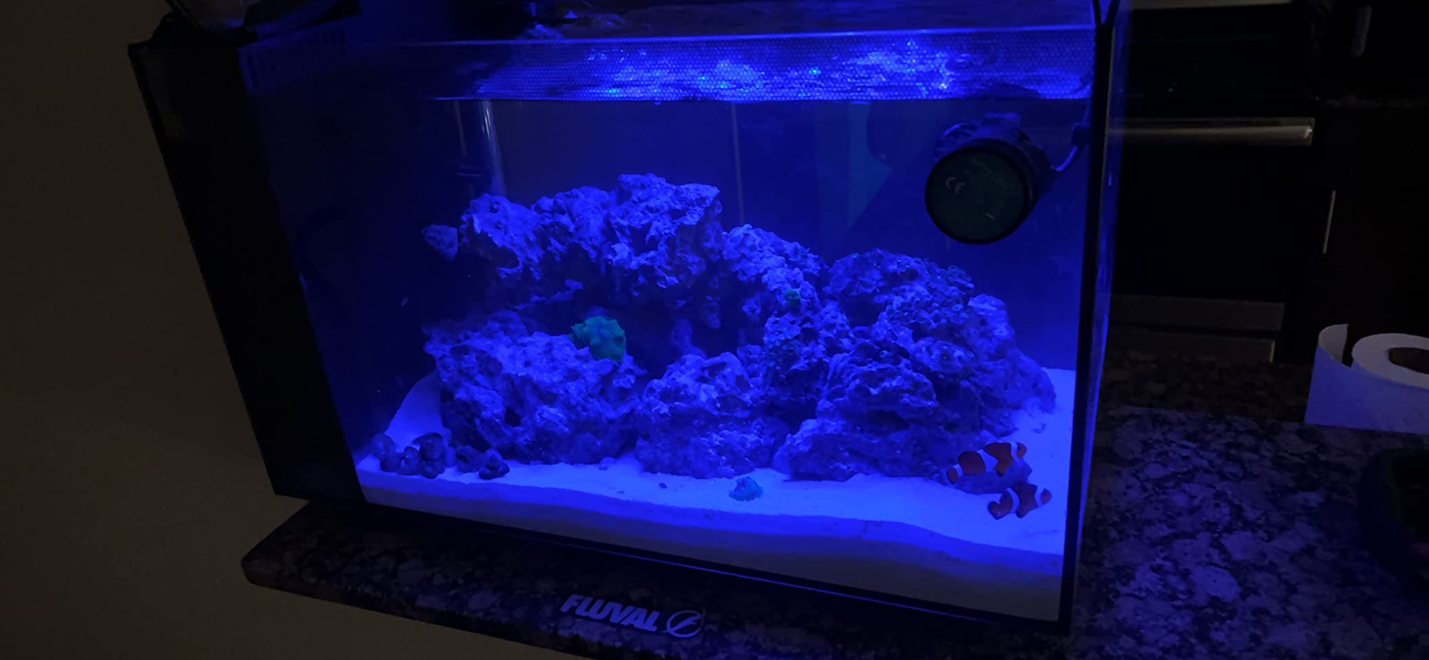 Fluval Evo XII Saltwater Aquarium Kit, 13.5 Gal. - Reef-Capable LED, 3-Stage Filtration customer photo 1