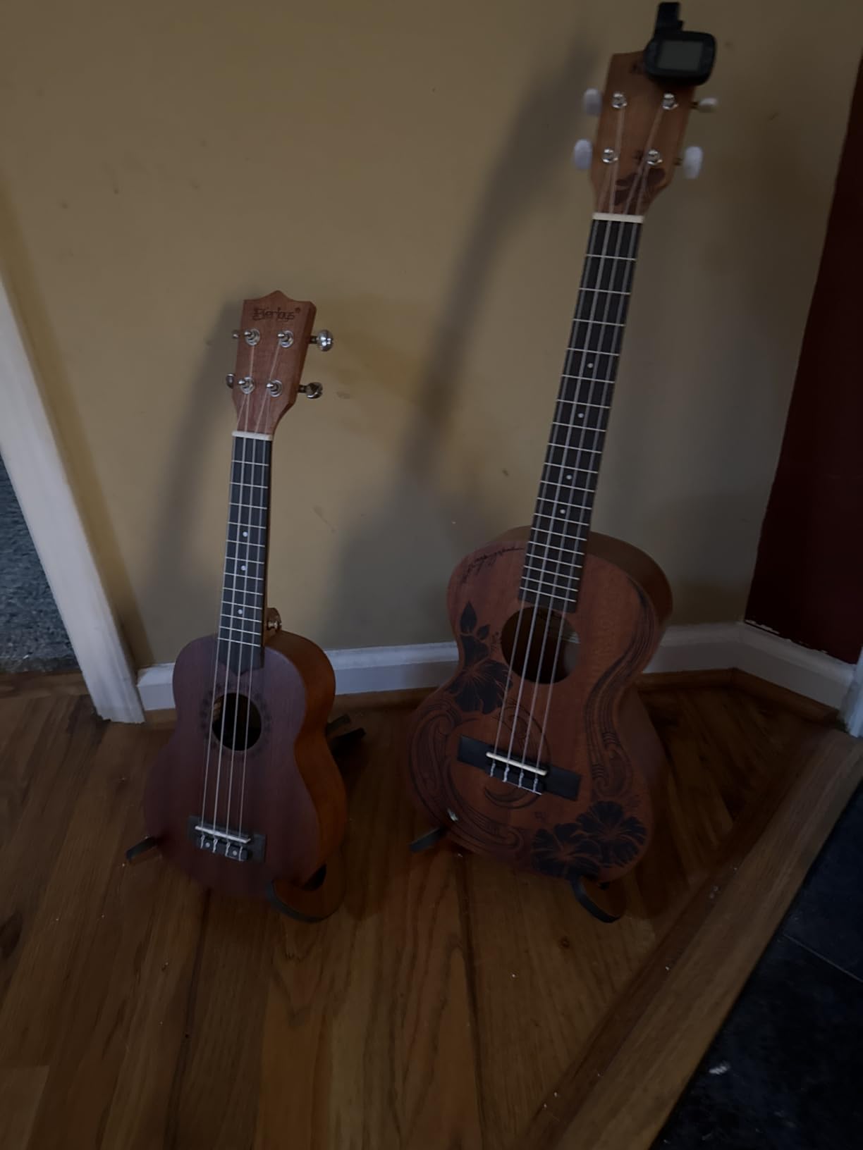 Everjoys Soprano Ukulele Beginner Kit 21 Inch w/Free Online Lesson Gig Bag Tuner Picks Strap, Fast to Learn (Rainbow String) customer photo 1