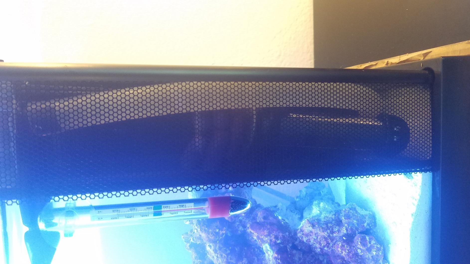 Fluval Sea Evo V Saltwater Fish Tank Aquarium Kit, Black, 5 gal, 10528A1 customer photo 2
