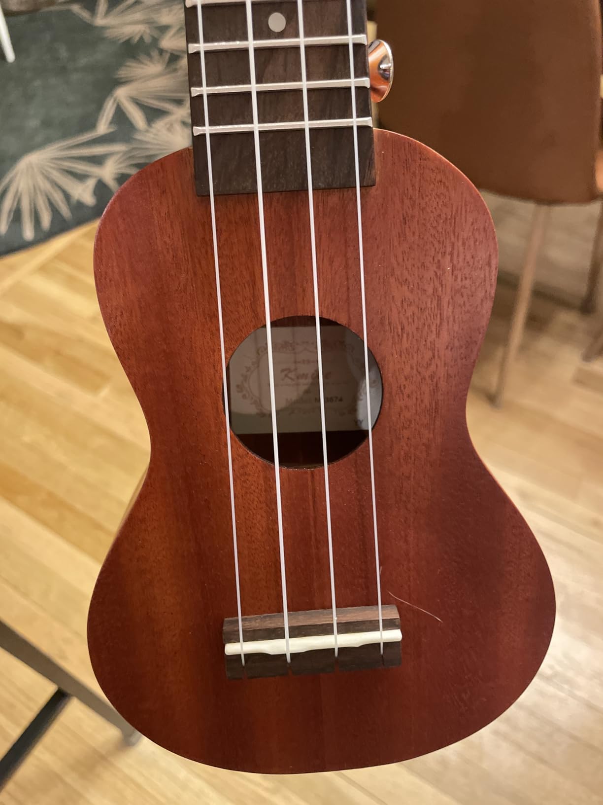 Kmise Professional Ukulele for Adult Beginner, Free Online Lesson 21 inch Soprano Mahogany Ukelele customer photo 1