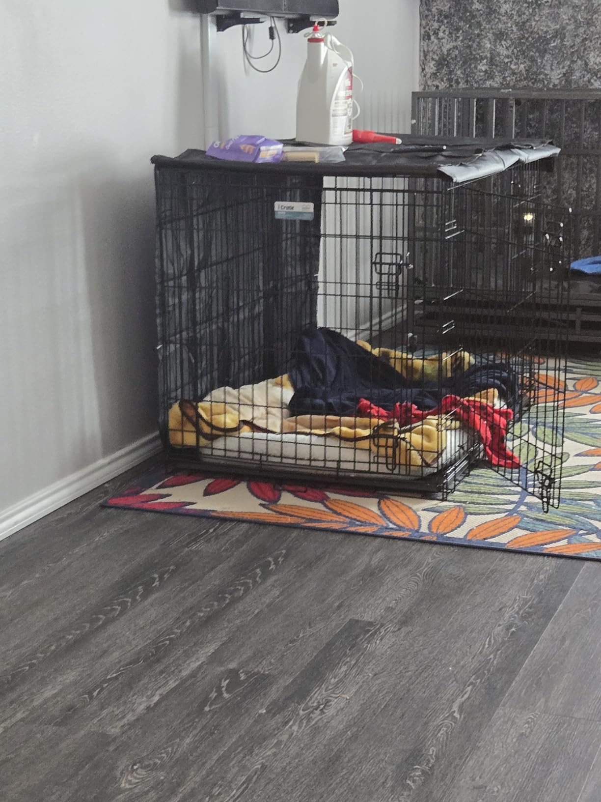 MidWest Homes for Pets Double Door iCrate Starter Kit, 42-inch Dog Crate Bundle for Large Dogs, Includes Cage, Pet Bed, 2 Bowls and Privacy Cover customer photo 1