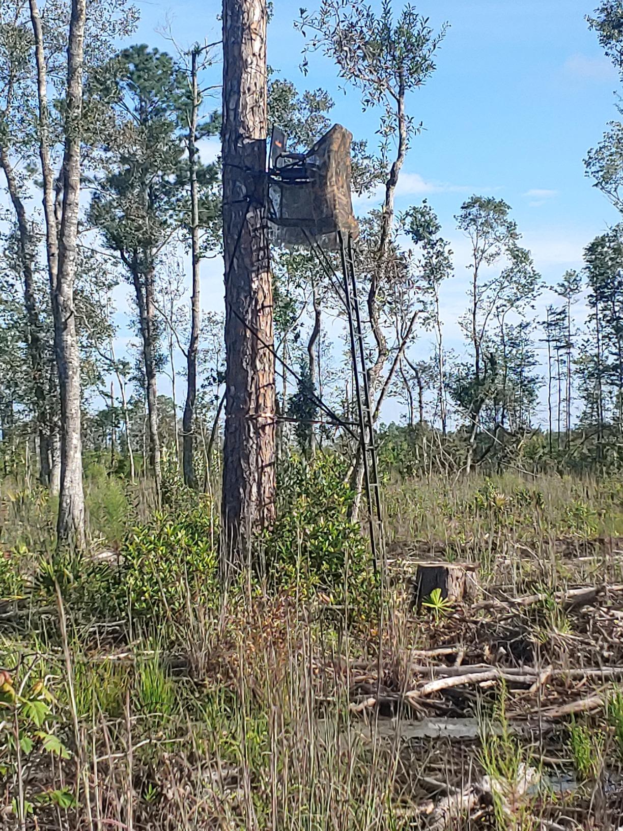 BIG GAME 1-Person Ladder Tree Stand 18' Tall customer photo 2
