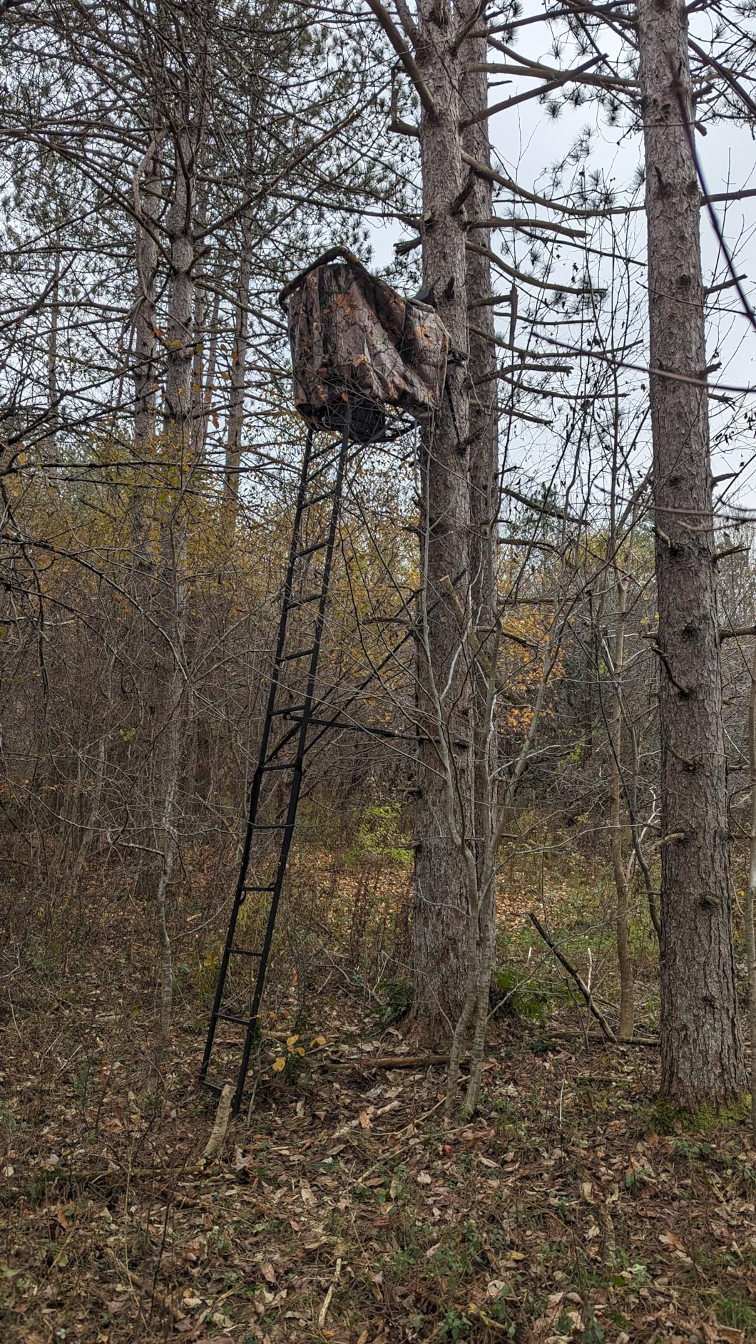 MUDDY Huntsman Deluxe Steel Ladder Tree Stand 17 ft customer photo 1