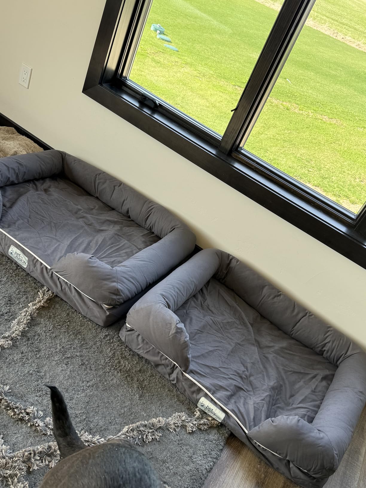 PetFusion Ultimate Dog Bed, Orthopedic Memory Foam, Multiple Sizes and Colors, Medium Firmness Pillow, Waterproof Liner, YKK Zippers, Breathable 35% Cotton Cover customer photo 1