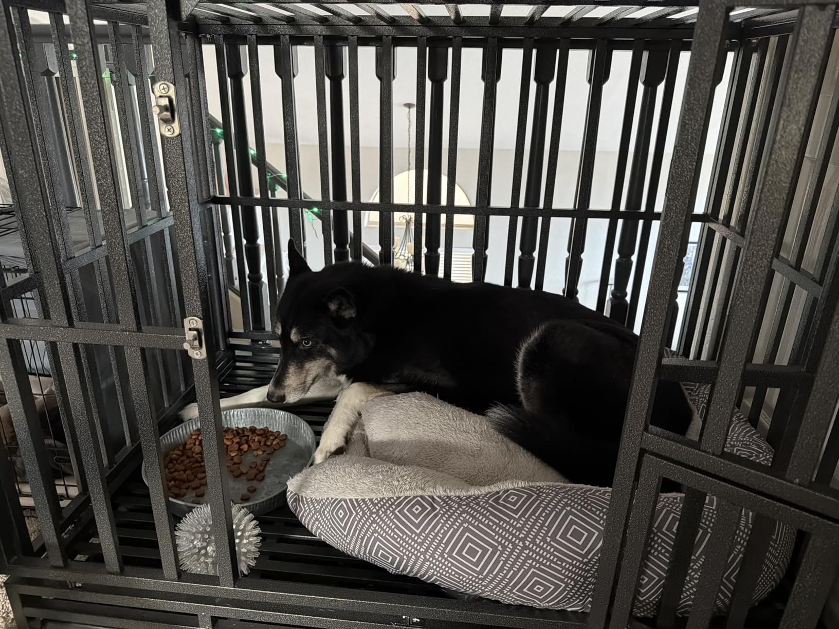 LUCKUP Heavy Duty Dog Cage Metal Kennel and Crate for Medium and Large Dogs, Pet Playpen with Four Wheels,Easy to Install,46 inch,Black customer photo 1