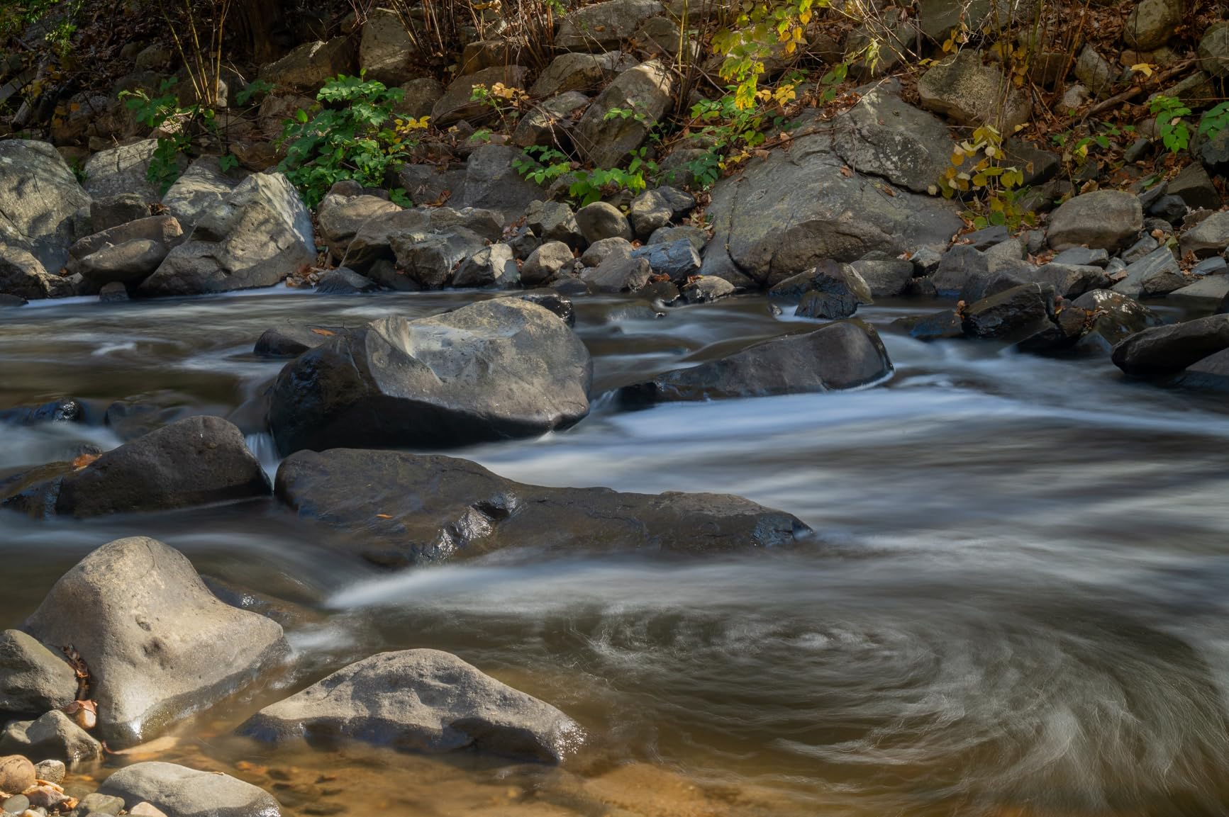 Nikon NIKKOR Z 24-70mm f/2.8 S | Professional Large Aperture mid-Range Zoom Lens for Z Series mirrorless Cameras | Nikon USA Model customer photo 1
