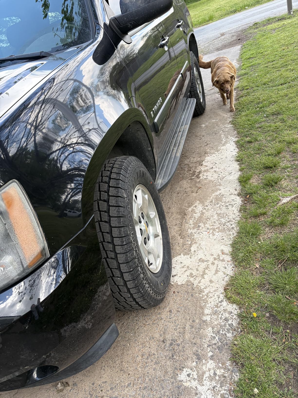 Lexani Terrain Beast AT 265/50R20 107T All-Terrain Tire customer photo 2