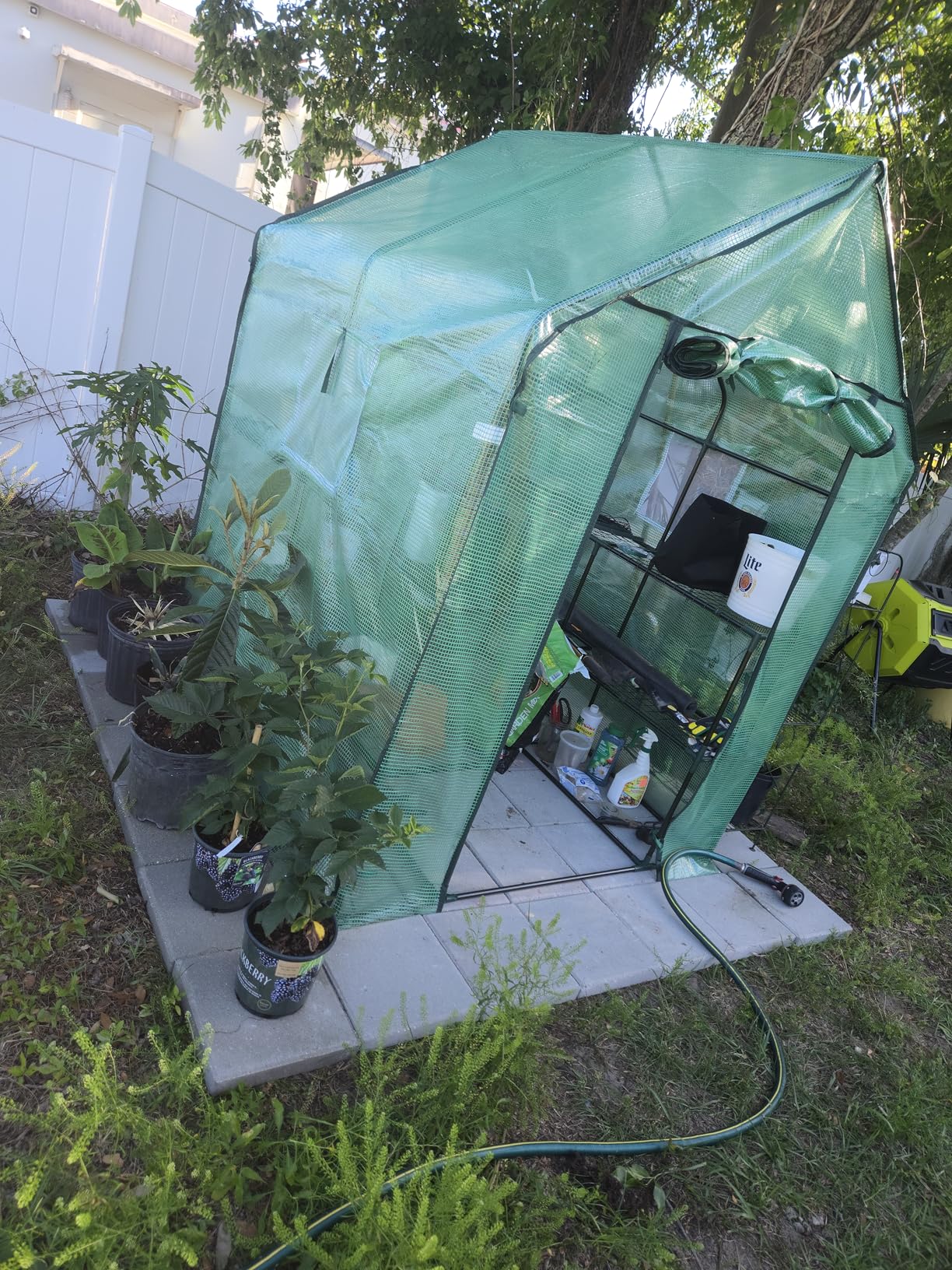 Ohuhu Greenhouse for Outdoors with Screen Windows, 57 x 57 x 76'' Walk in Plant Greenhouses Heavy Duty with Durable PE Cover, 3 Tiers 12 Shelves customer photo 1