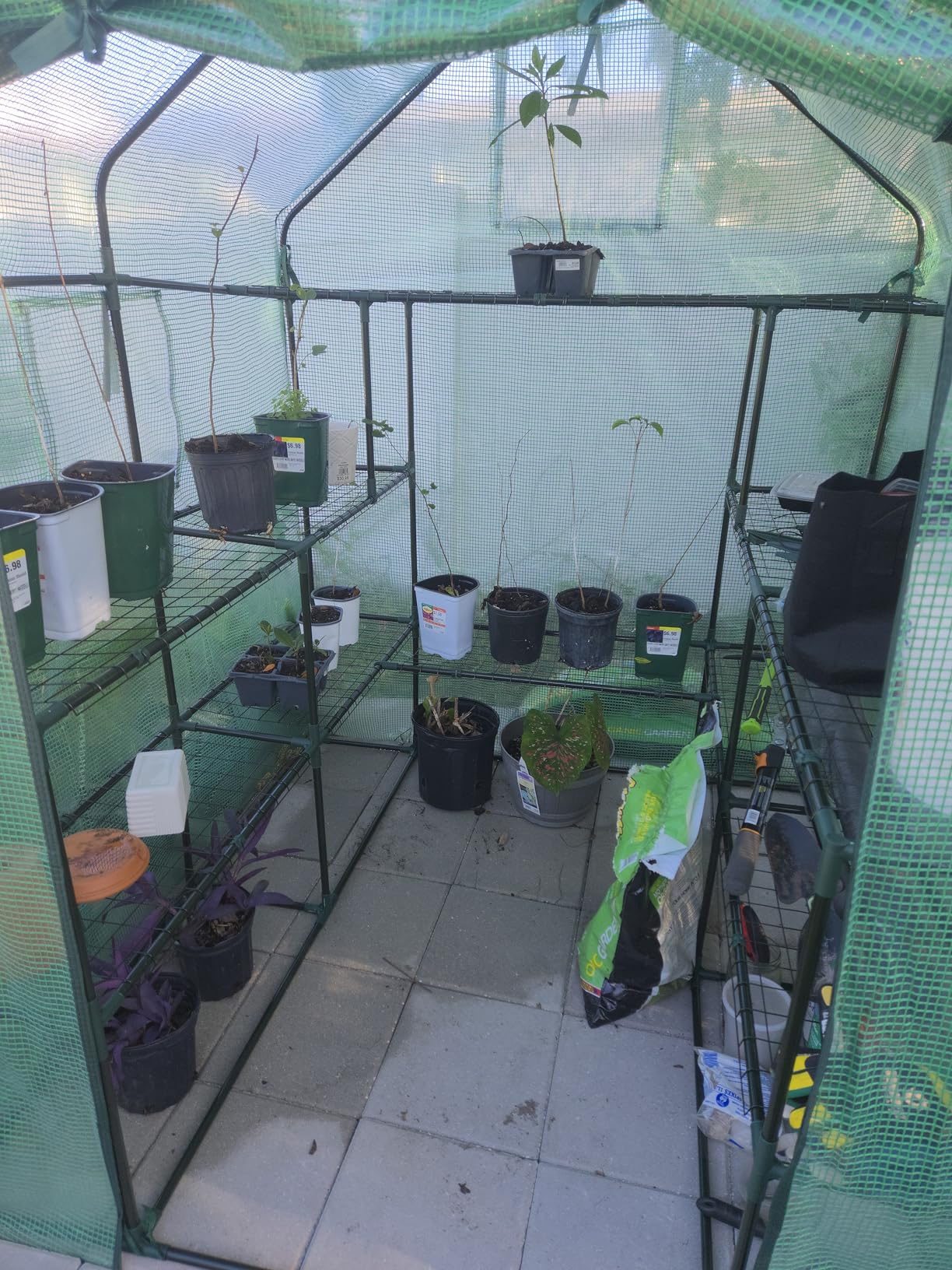 Ohuhu Greenhouse for Outdoors with Screen Windows, 57 x 57 x 76'' Walk in Plant Greenhouses Heavy Duty with Durable PE Cover, 3 Tiers 12 Shelves customer photo 2
