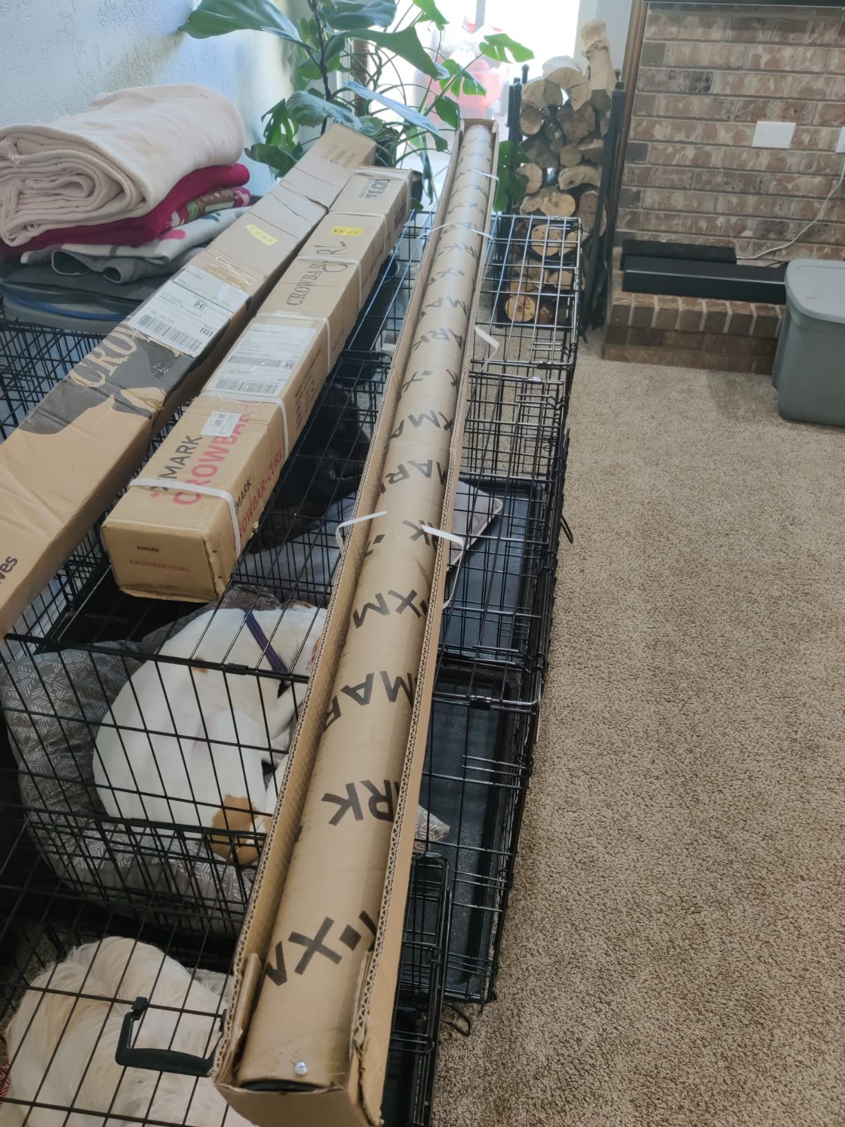 XMark Crowbar Olympic Barbell, 20kg Training Bar, 28mm Shaft, Center Knurl, Built for Strength Training and Olympic Lifts customer photo 2