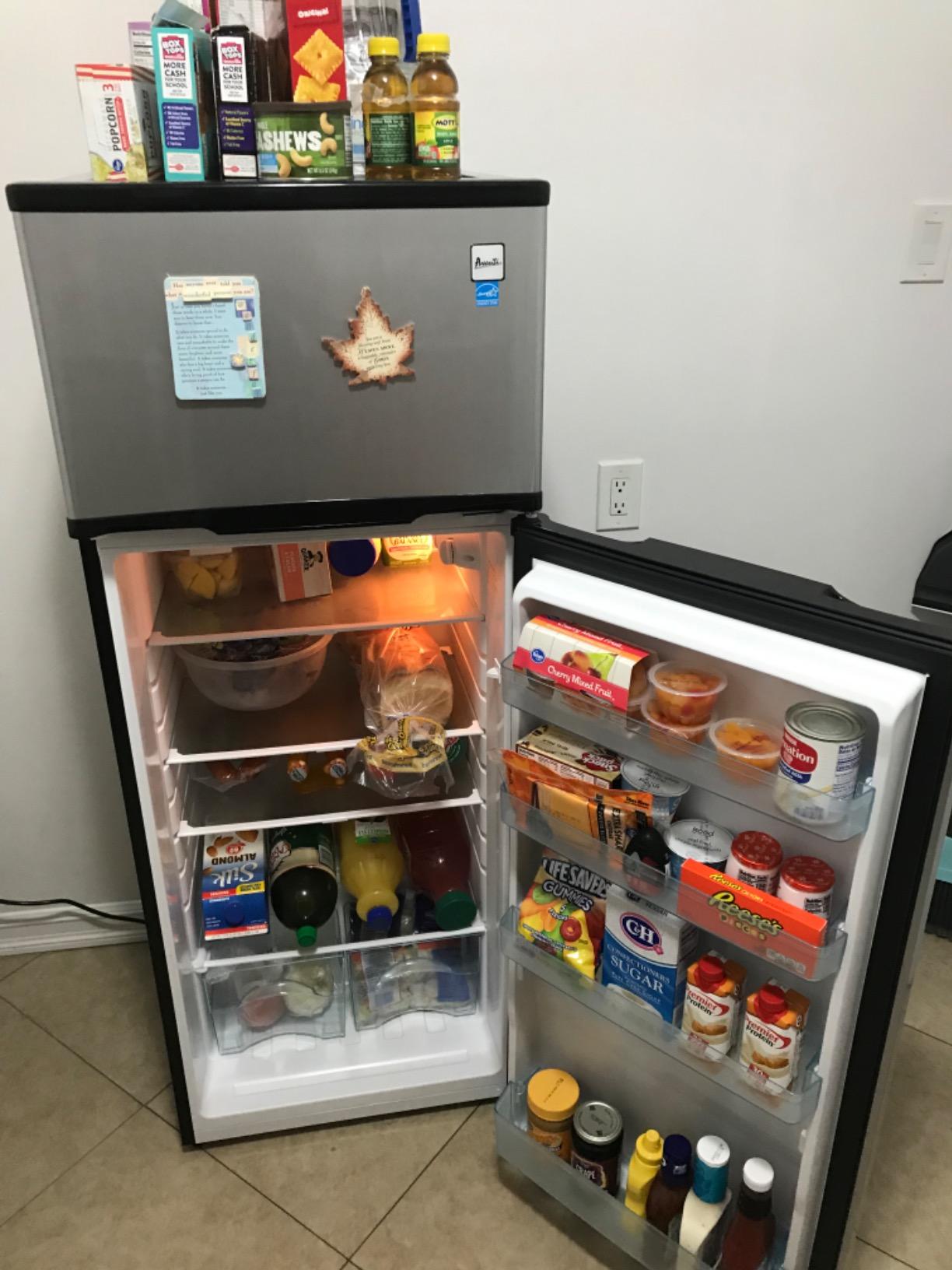 Avanti 15.6 cu. ft. Side-by-Side Apartment Refrigerator with Freezer, Compact Counter-Depth Fridge for Small Spaces, Stainless Steel customer photo 1