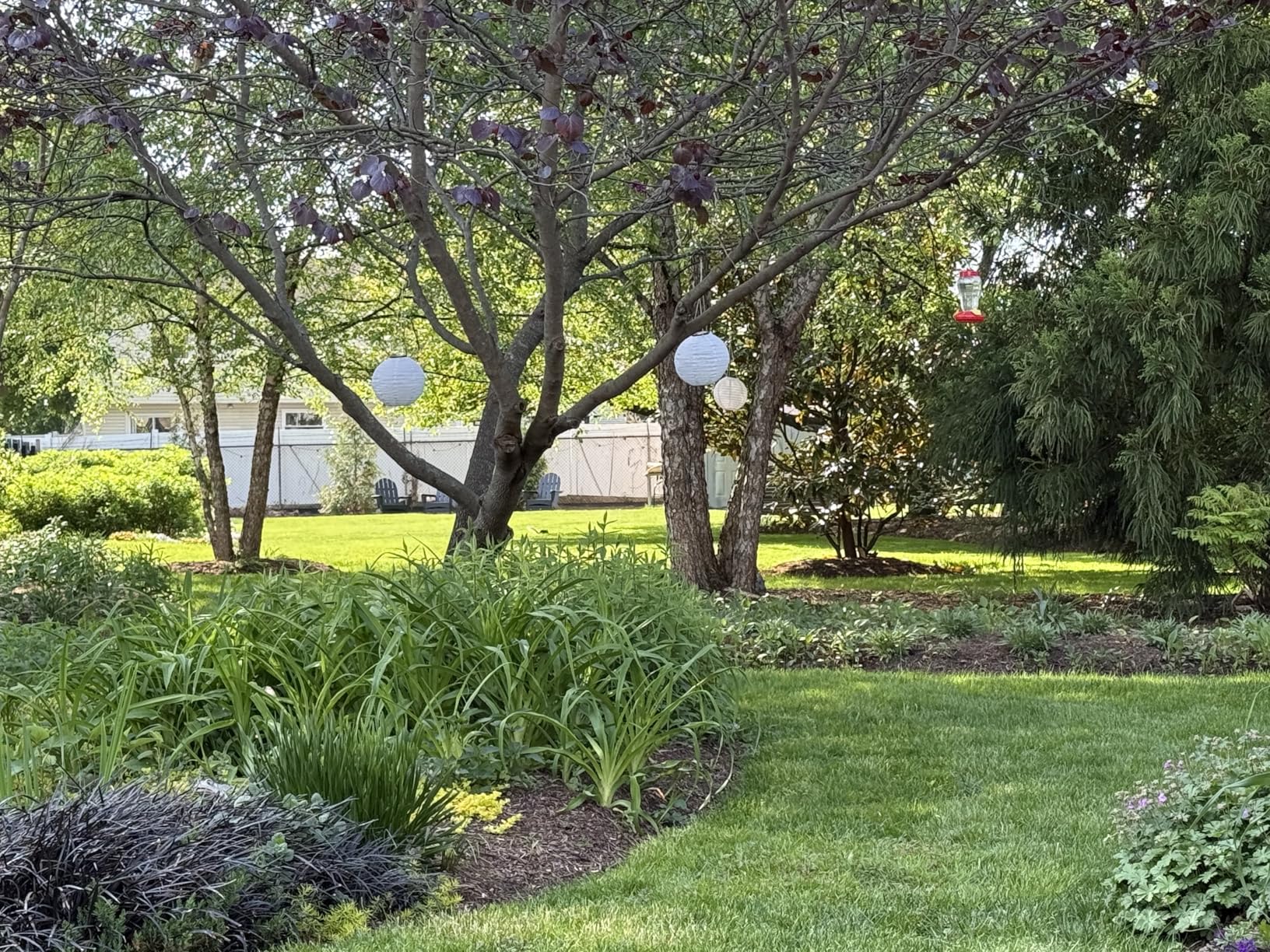 EGO POWER+ LM2135SP Electric Self-Propelled Cordless Lawn Mower with Select Cut and Touch Drive, 56V 7.5Ah Battery - LM2135SP customer photo 2