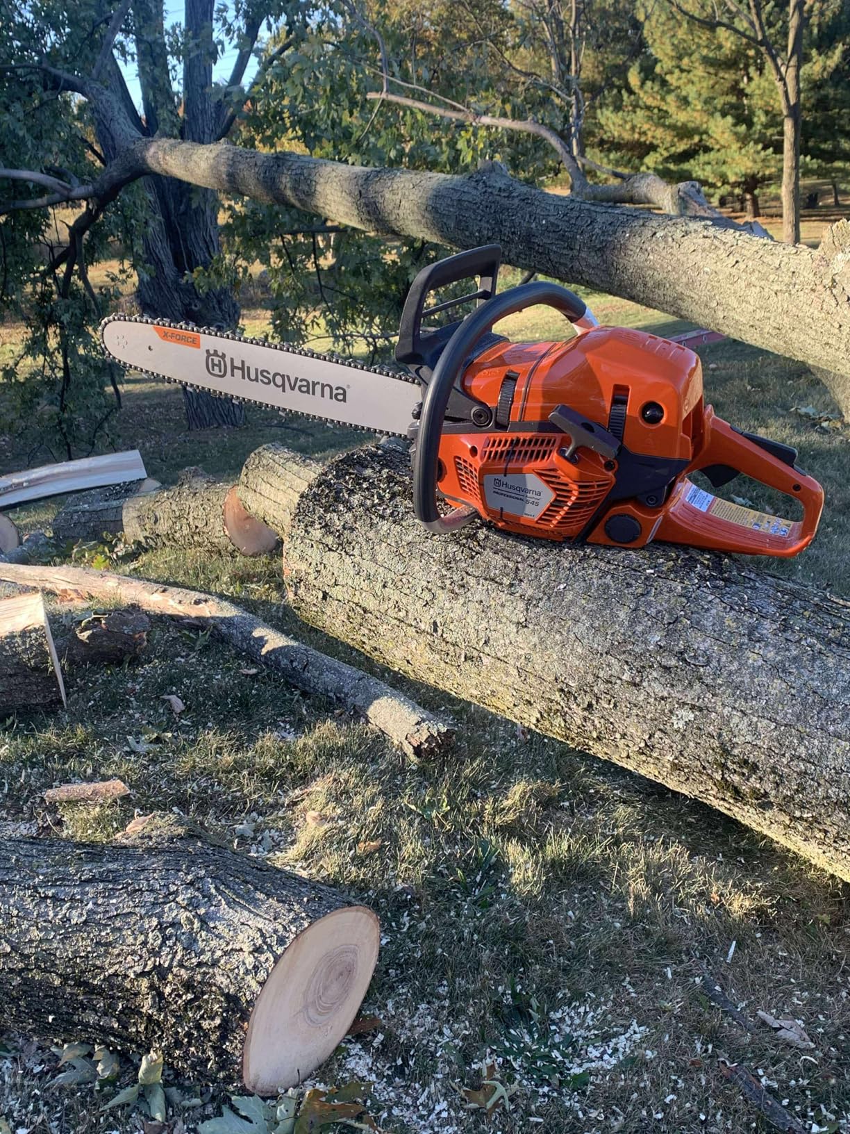 Husqvarna 967690628 545 Mark II 3.6 HP 2-Cycle X-Torq Engine 50.1cc Gas Chainsaw 20 inch with Adjustable Chain Oil Pump for Professional Tree Felling and Limbing, Gifts for Men customer photo 1