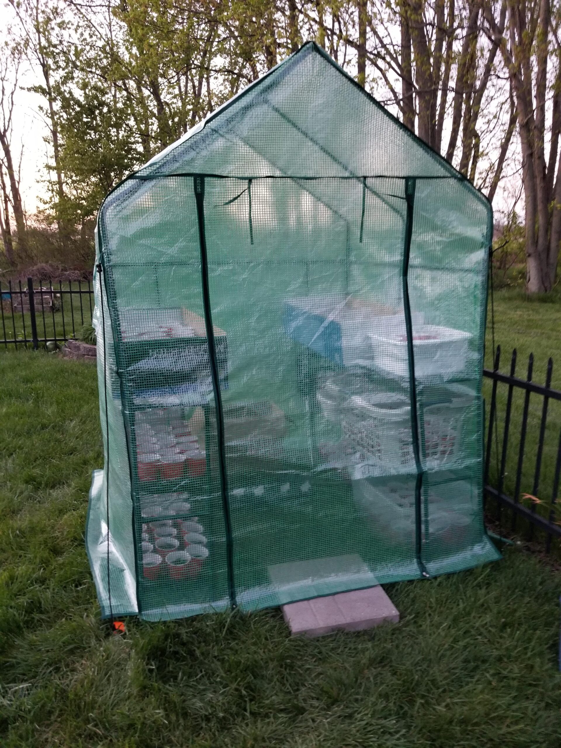 VIVOSUN 57 x 29 x 77-Inch Mini Walk-in Greenhouse with Windows, Shelves and Anchors, Plant Garden Hot House customer photo 2