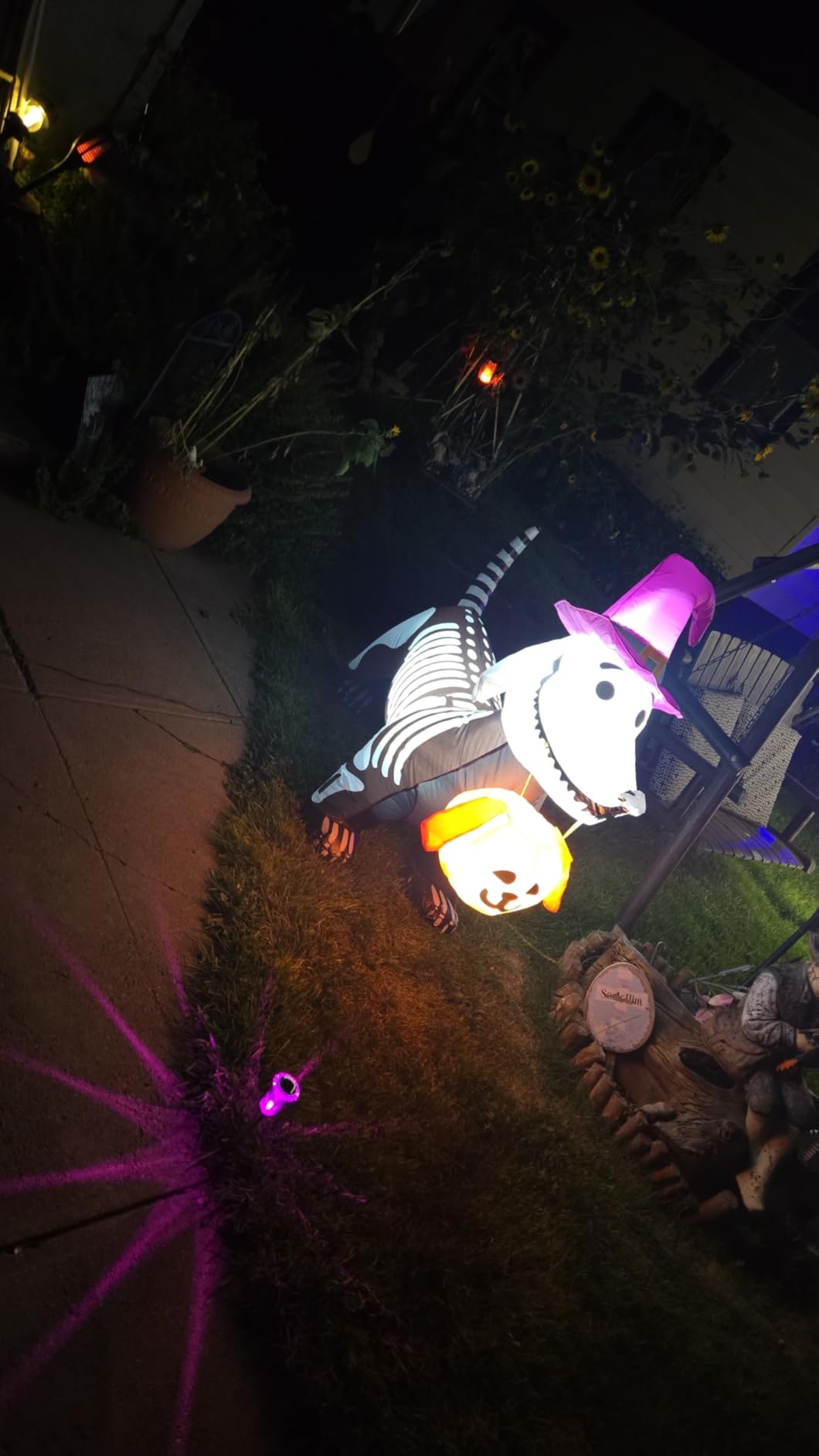 GOOSH 5.5 FT Halloween Inflatables Outdoor Decorations Skeleton Puppy Inflatable Yard Decoration with Build-in LEDs Blow Up Pumpkin for Halloween Party Indoor Outdoor Yard Garden customer photo 1