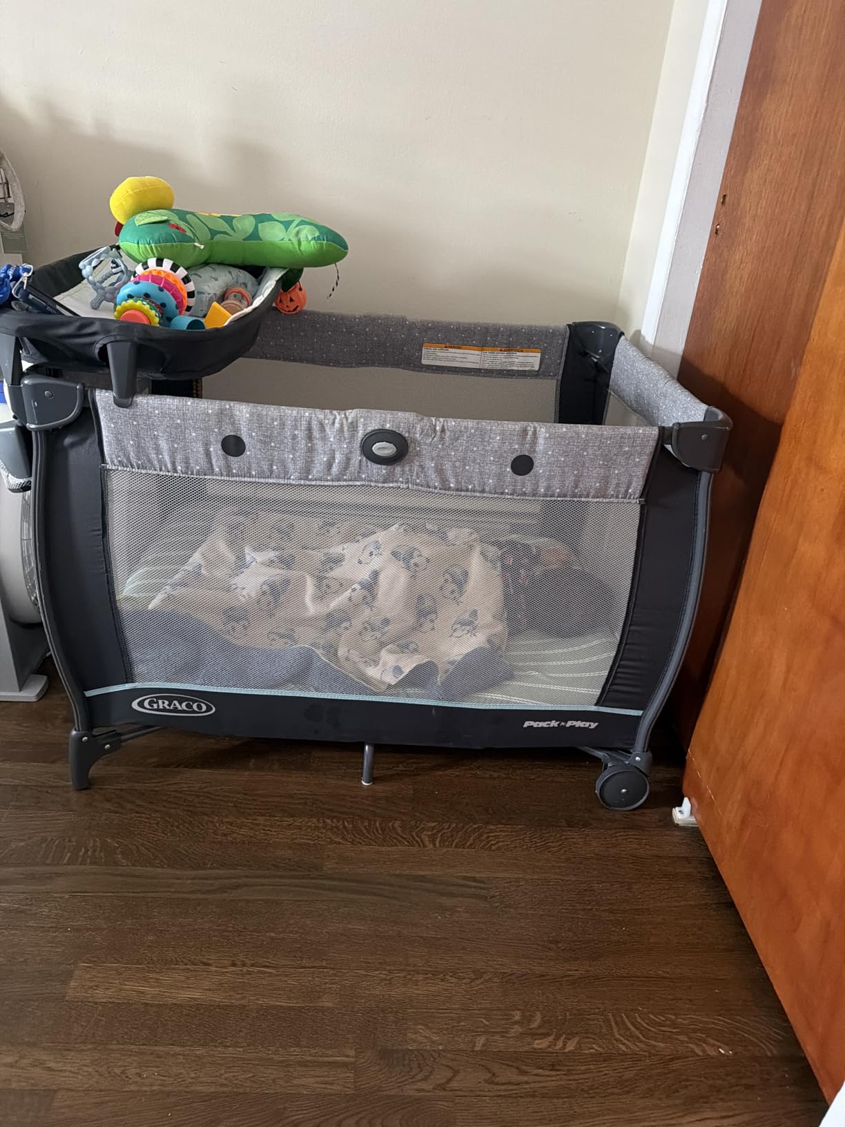 Graco Pack 'n Play Day2Dream Travel Bassinet Playard customer photo 1